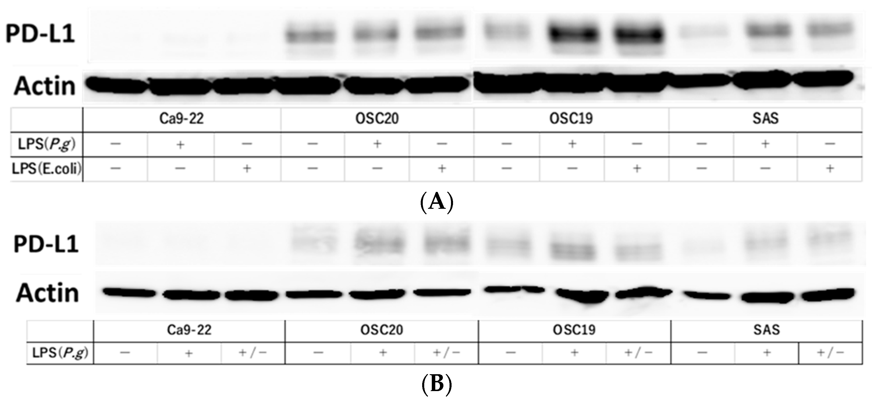 Cancers 16 00343 g009