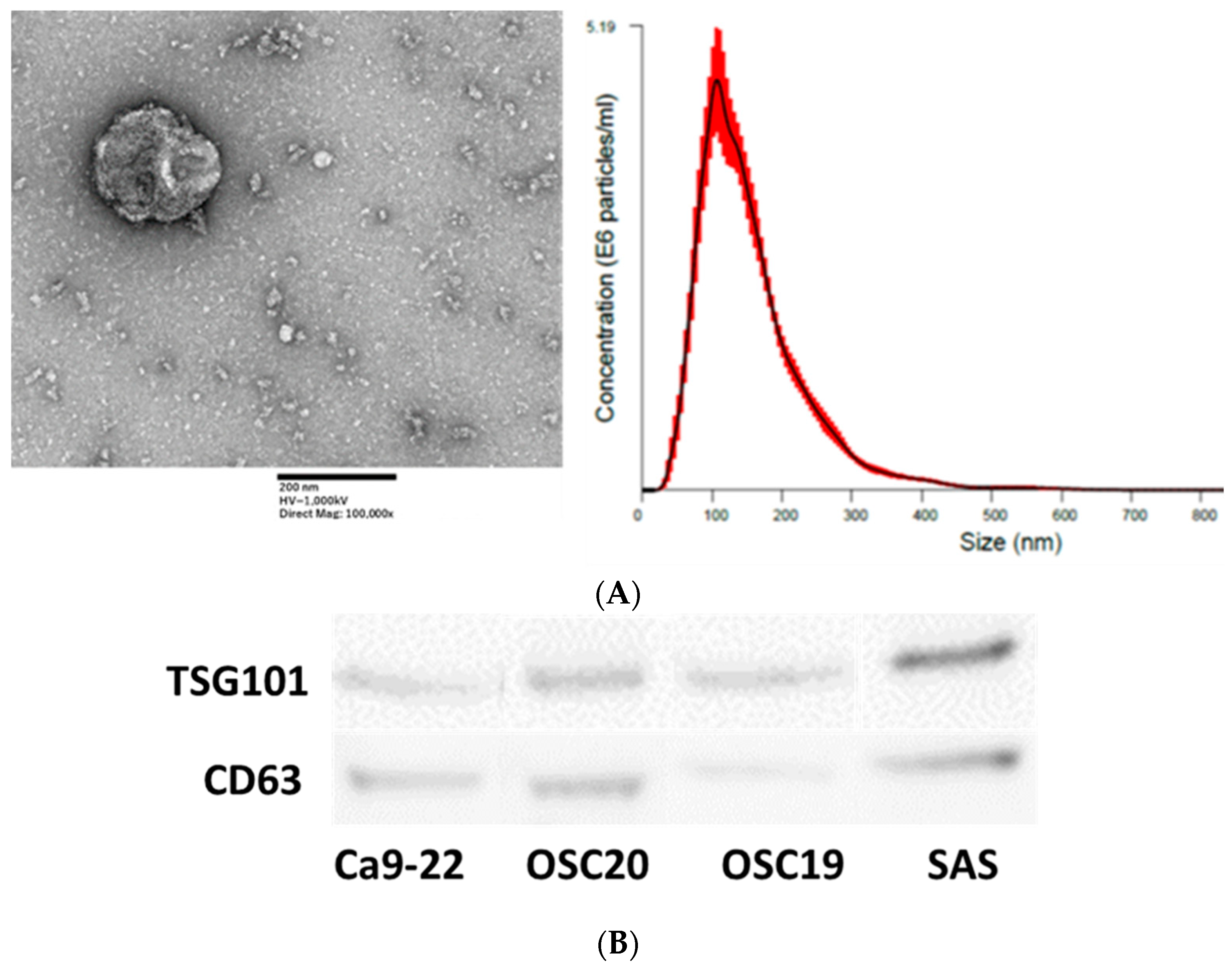 Cancers 16 00343 g010