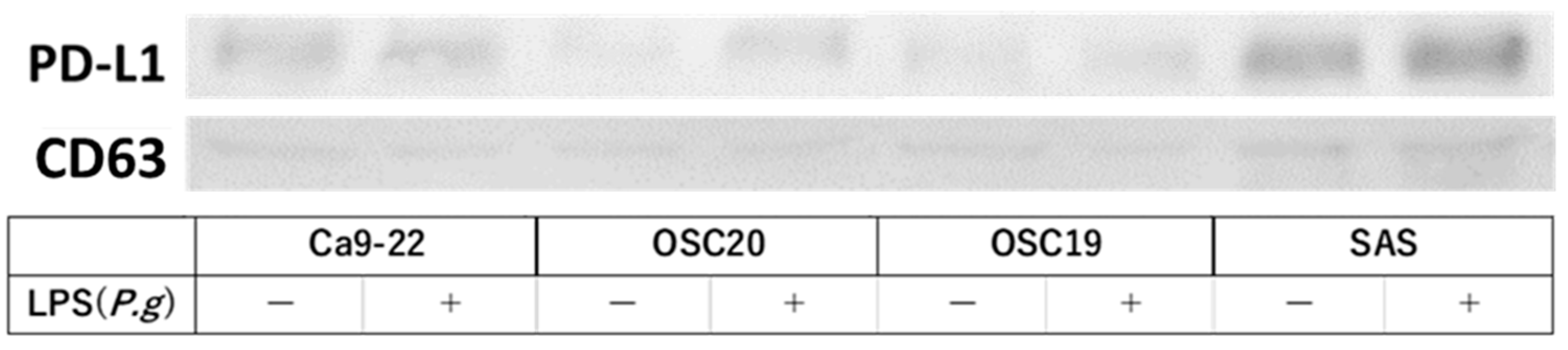 Cancers 16 00343 g011