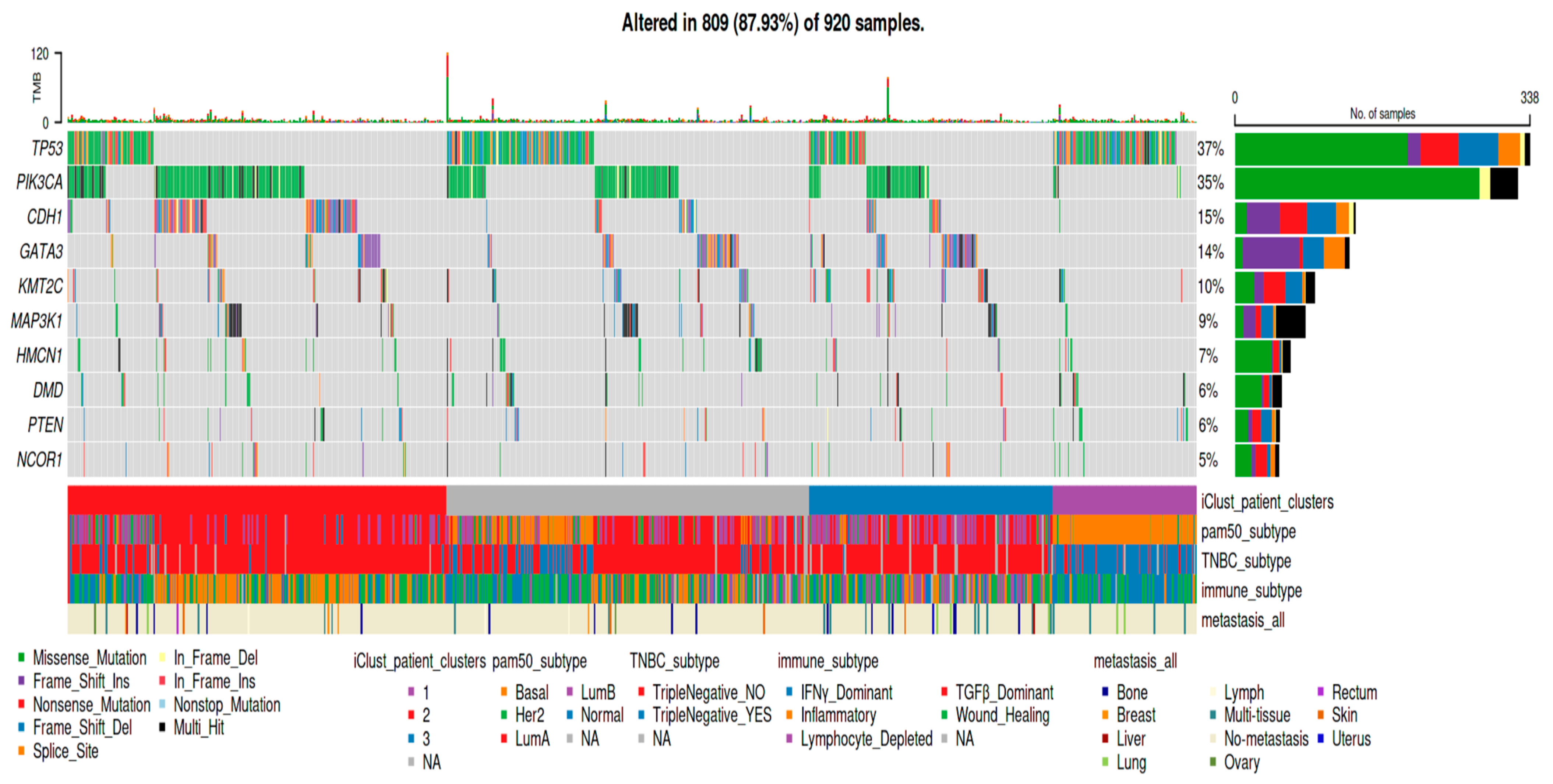 Cancers 16 00345 g001