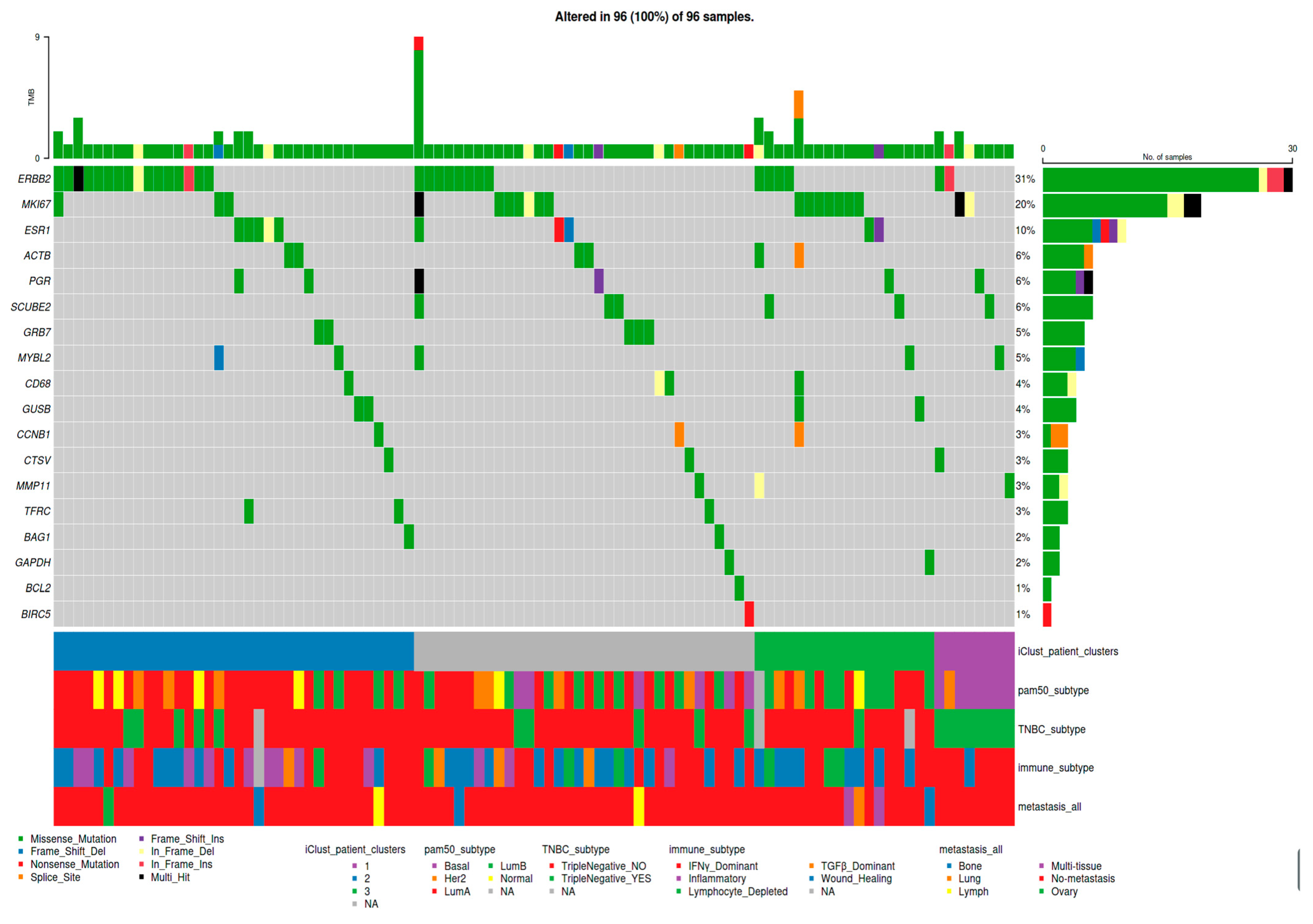 Cancers 16 00345 g004