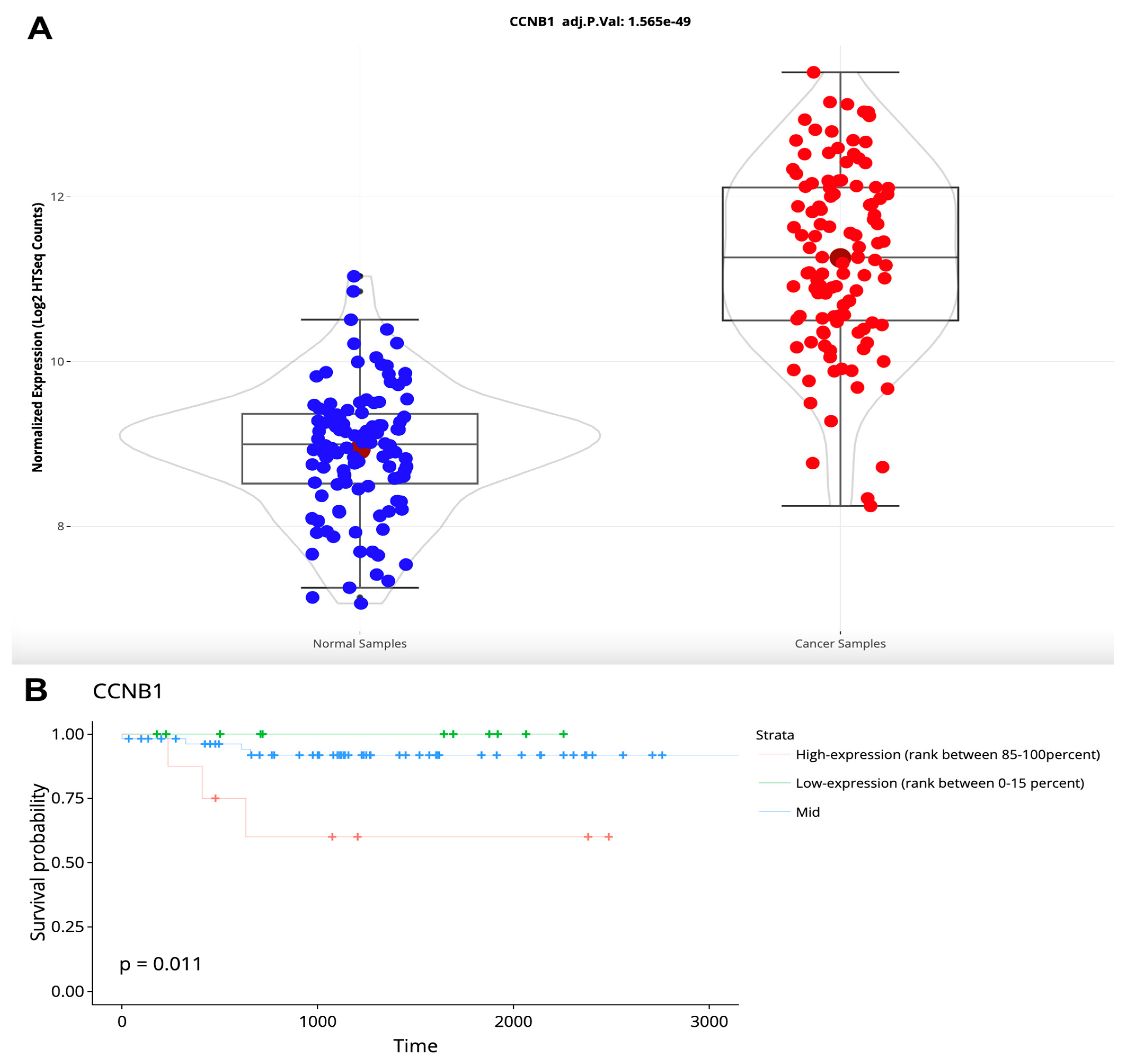 Cancers 16 00345 g007