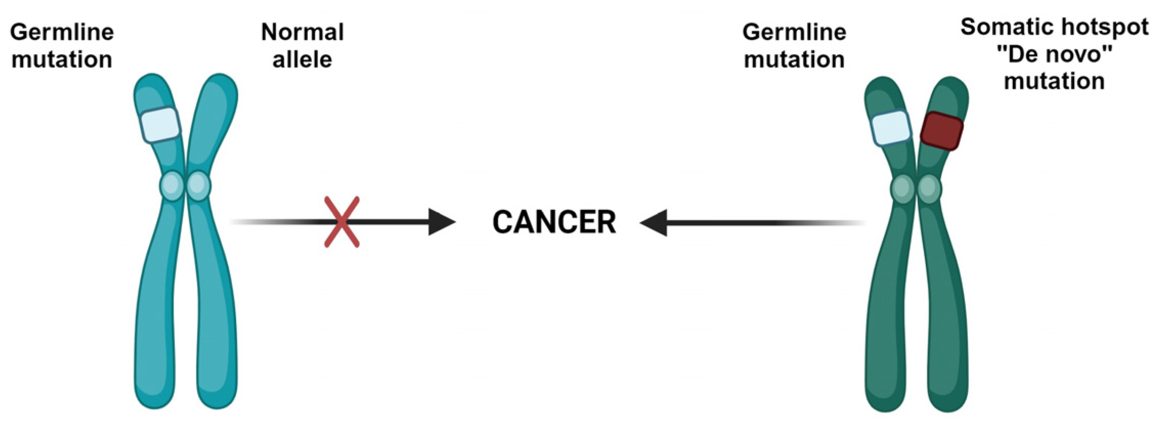 Cancers 16 00347 g003