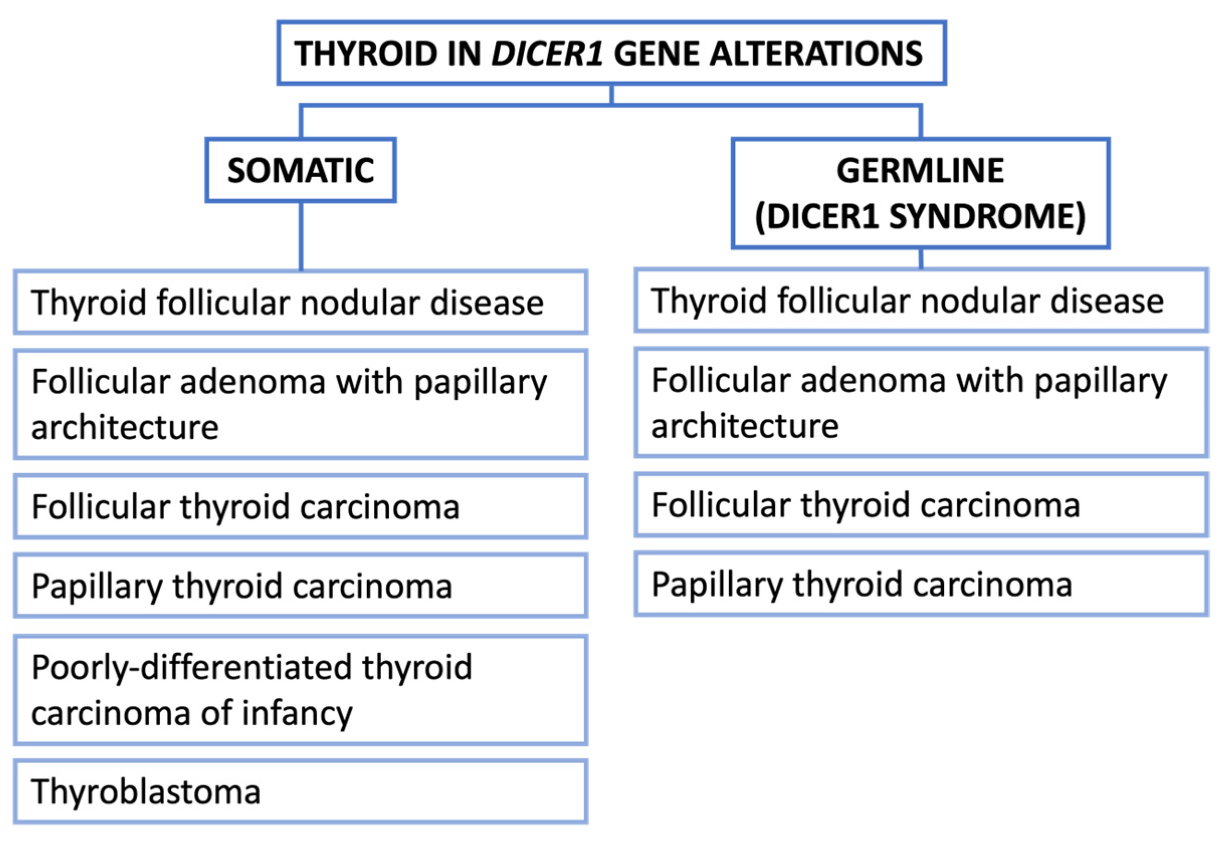 Cancers 16 00347 g005