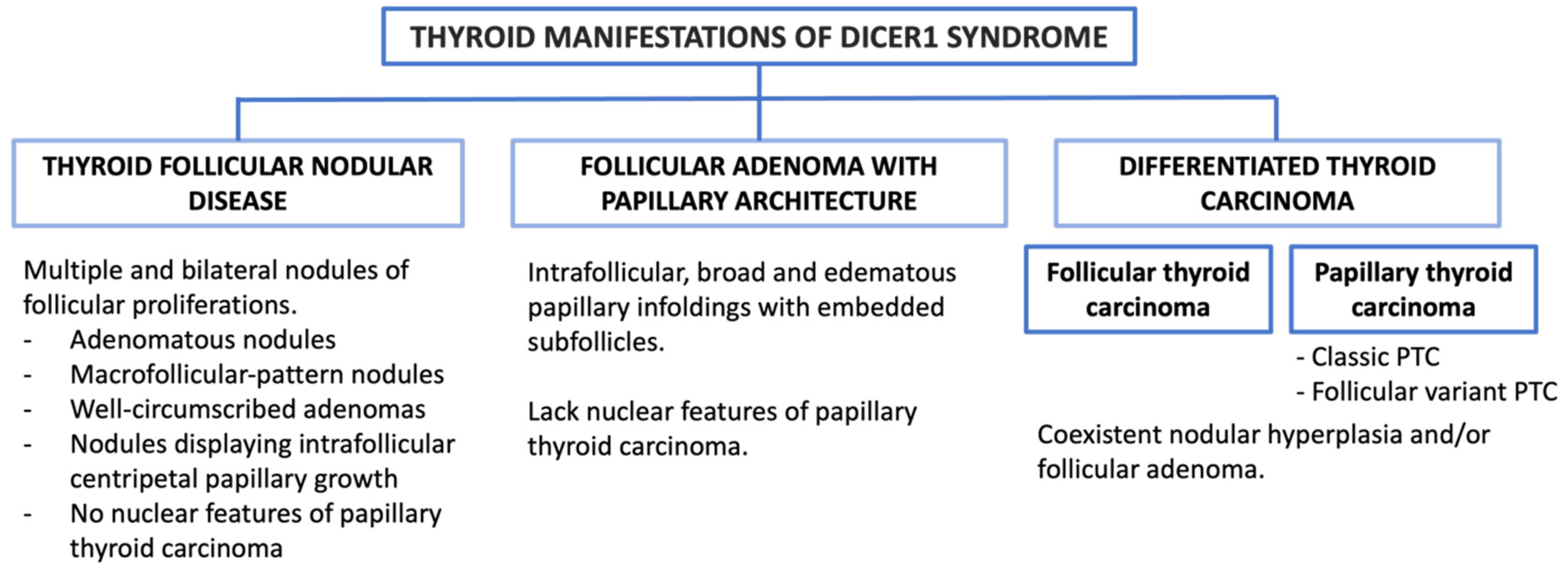 Cancers 16 00347 g009