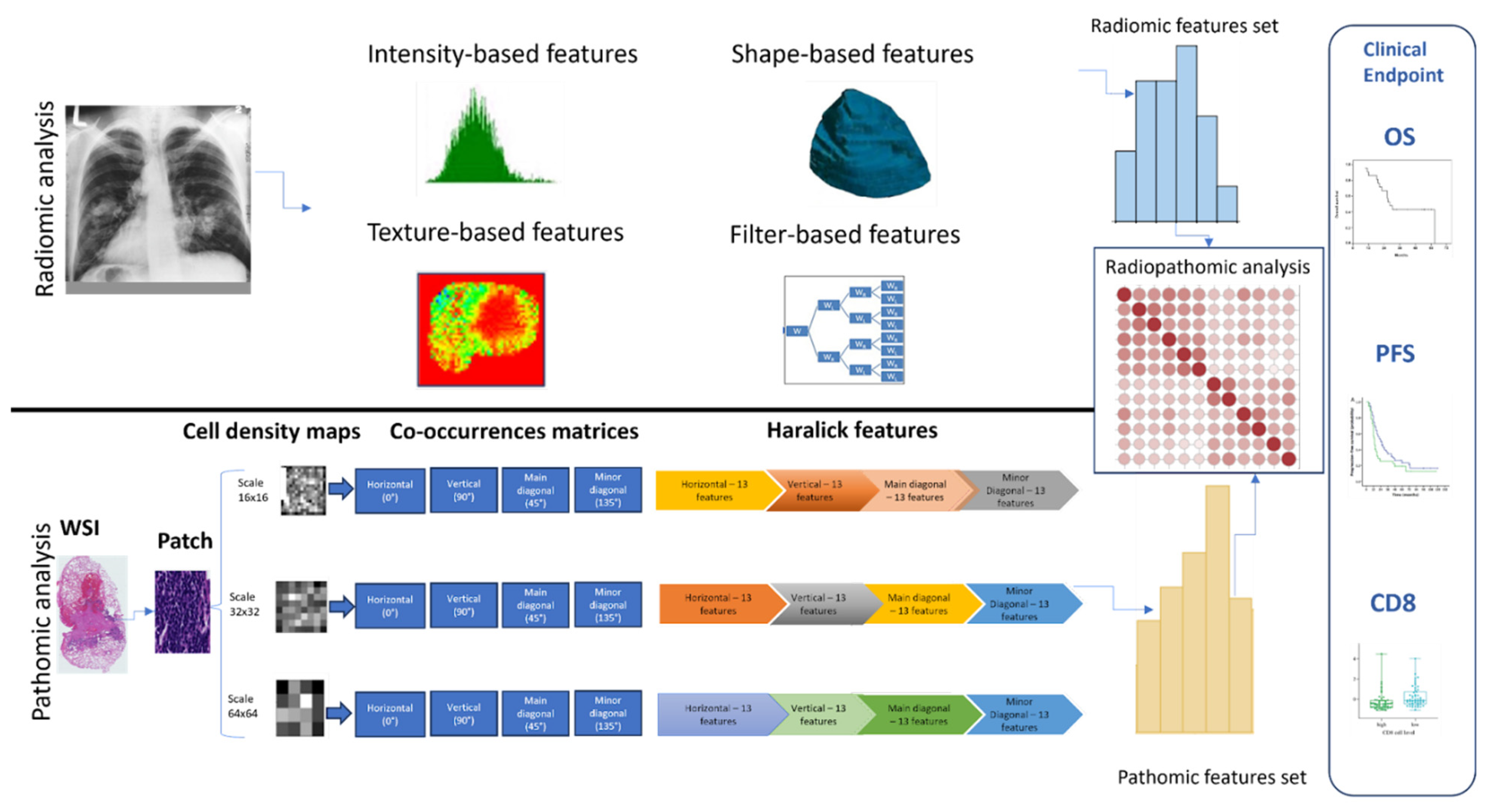 Cancers 16 00348 g001