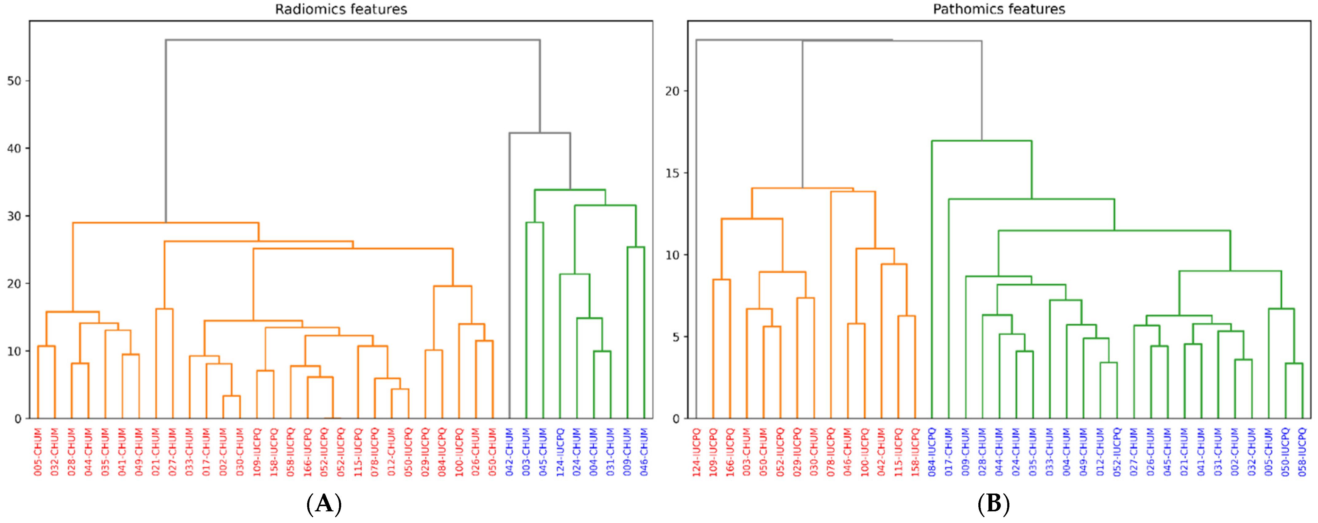 Cancers 16 00348 g006