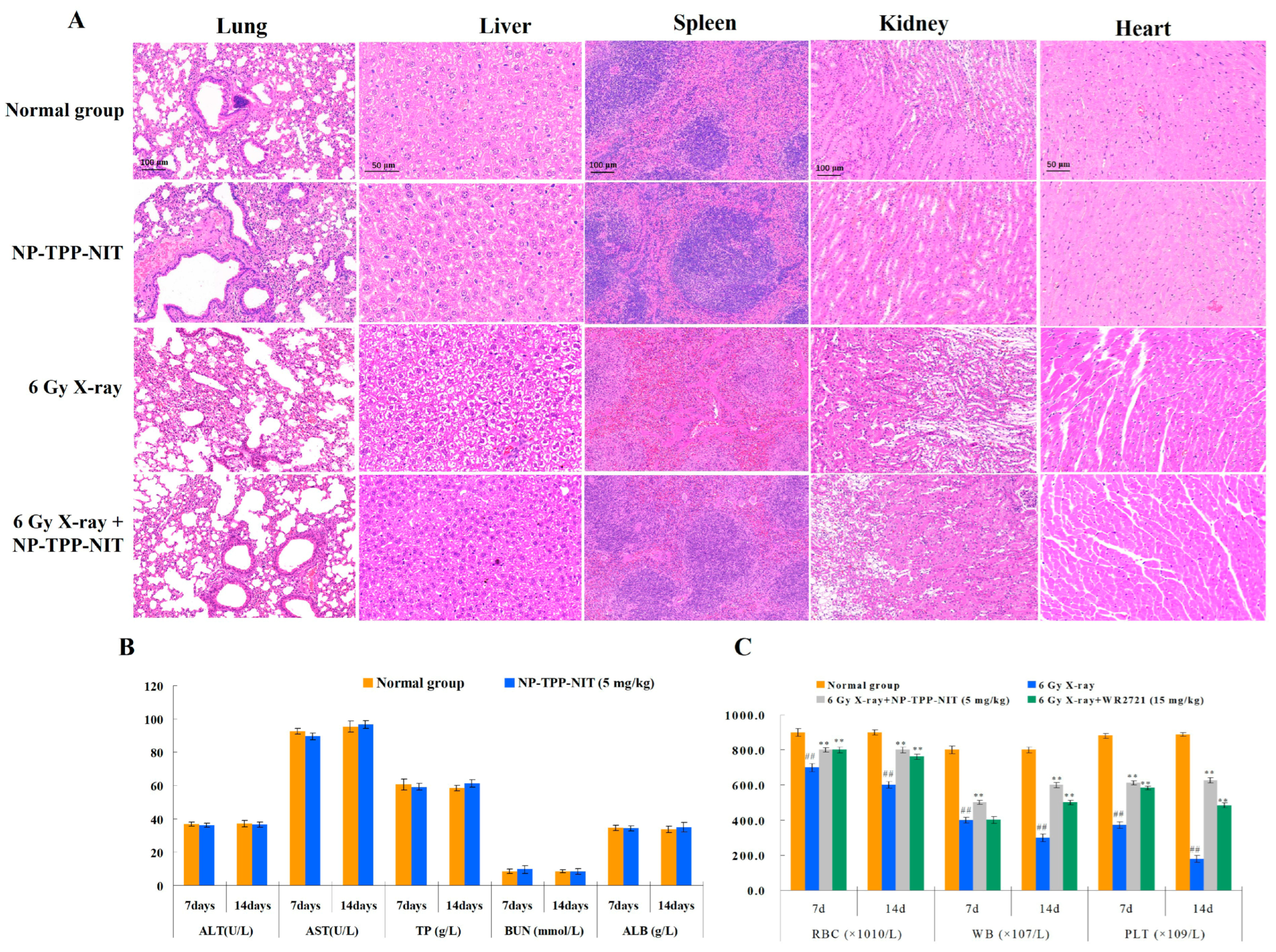 Cancers 16 00351 g006
