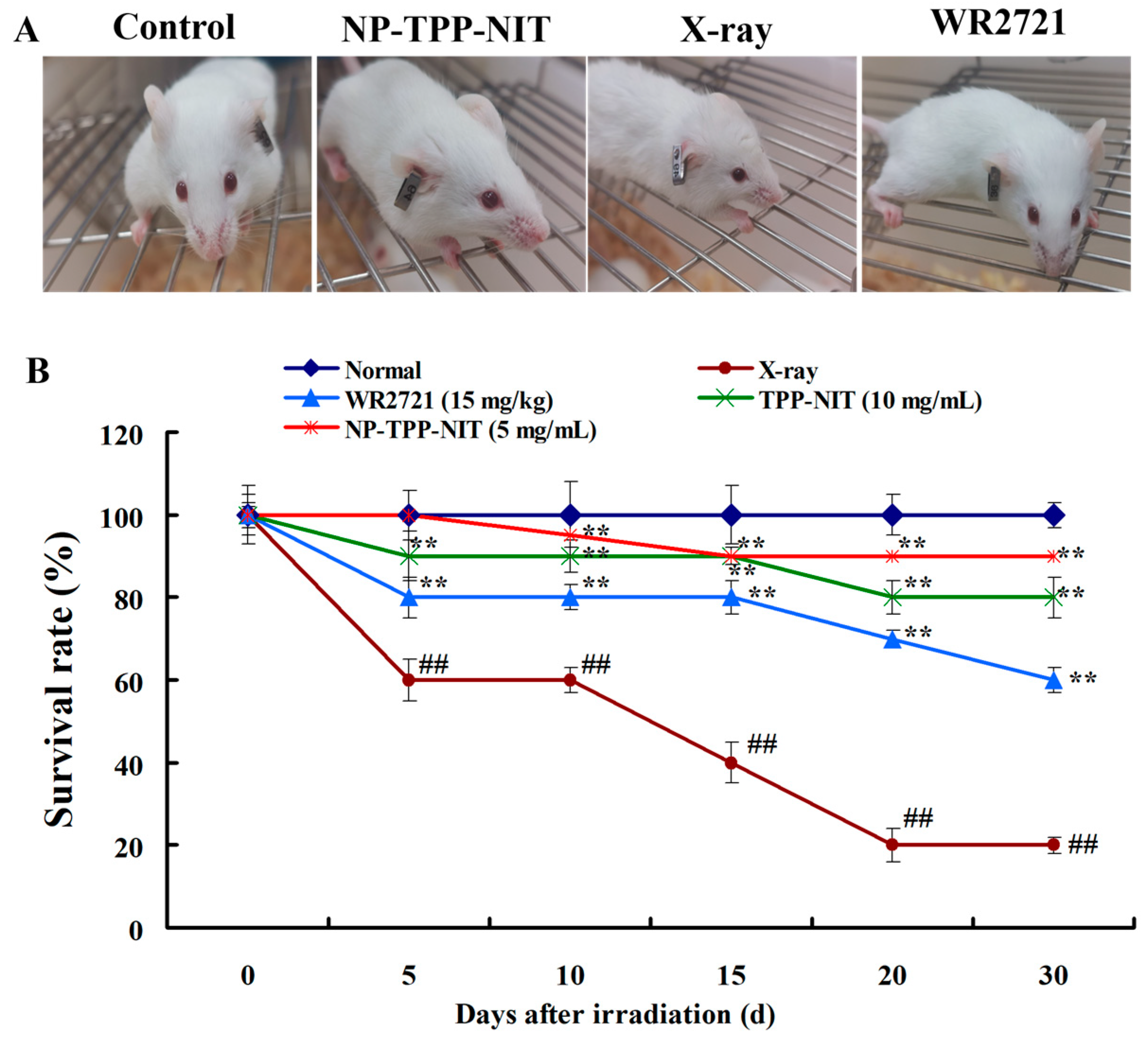 Cancers 16 00351 g007