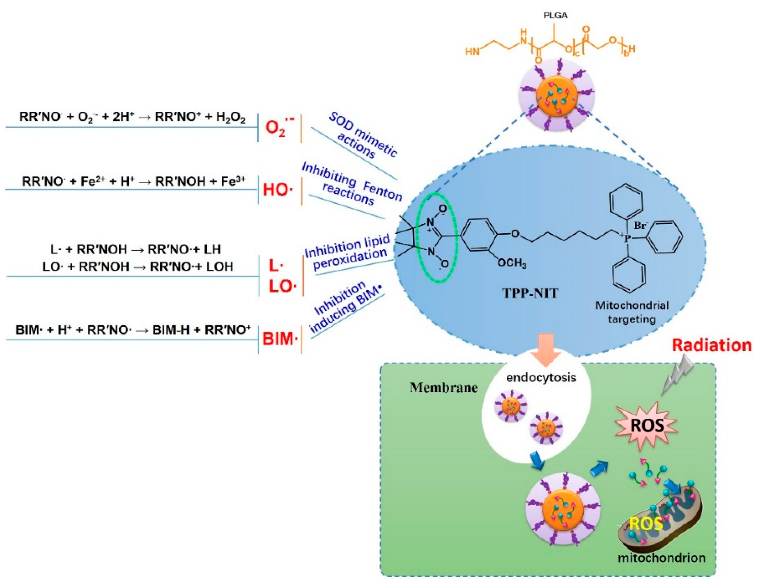 Cancers 16 00351 g008
