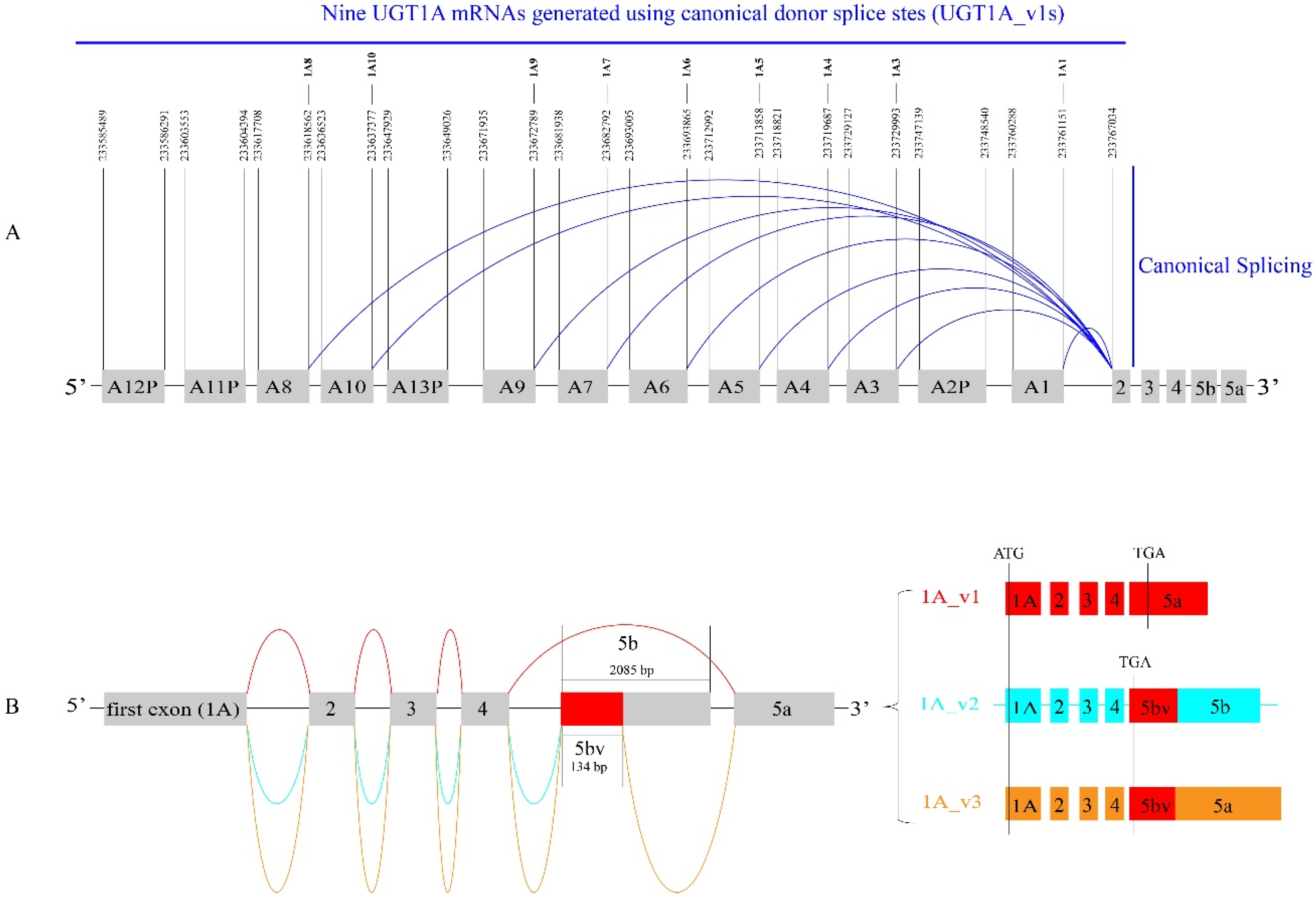Cancers 16 00353 g001