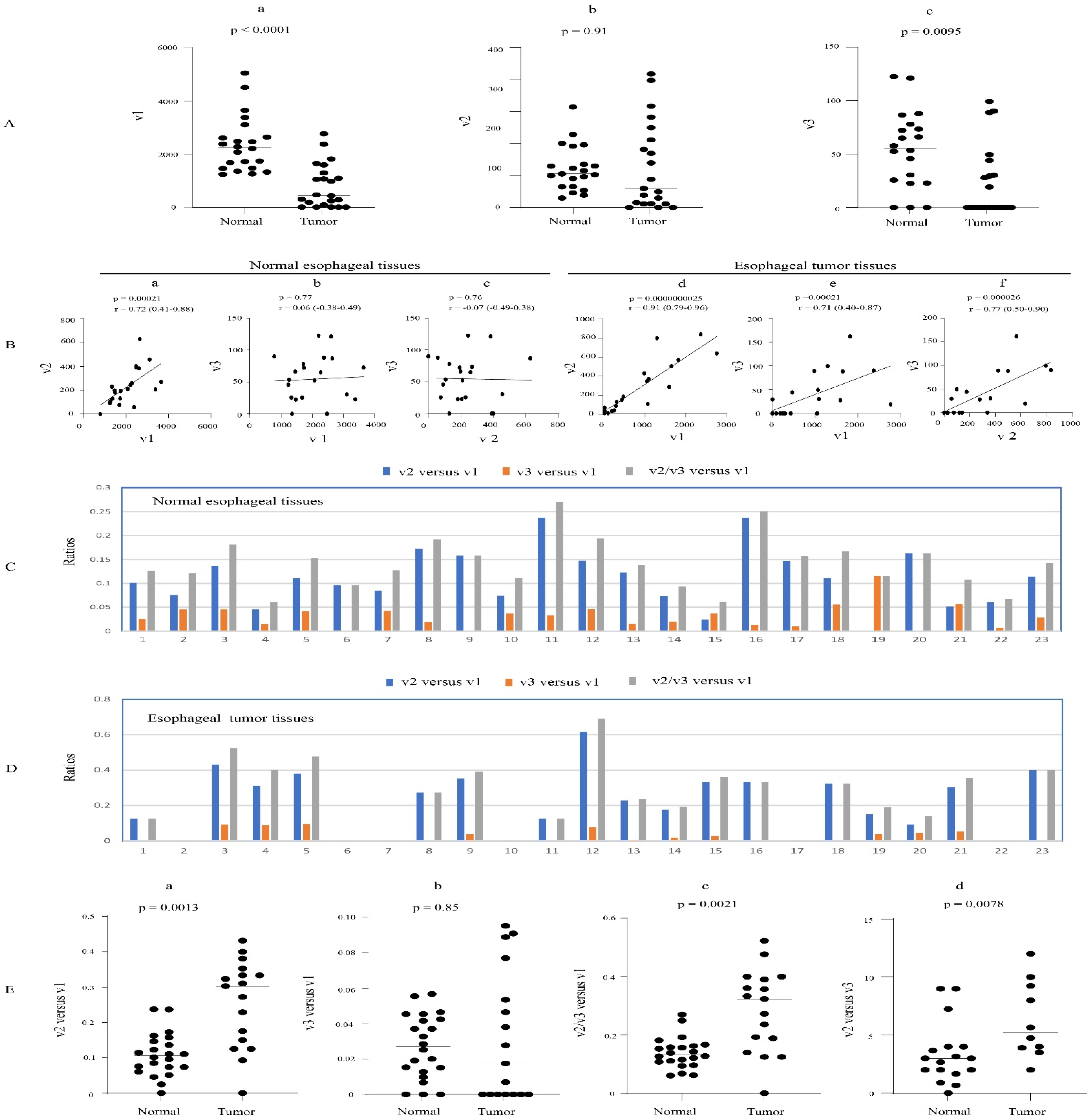 Cancers 16 00353 g007