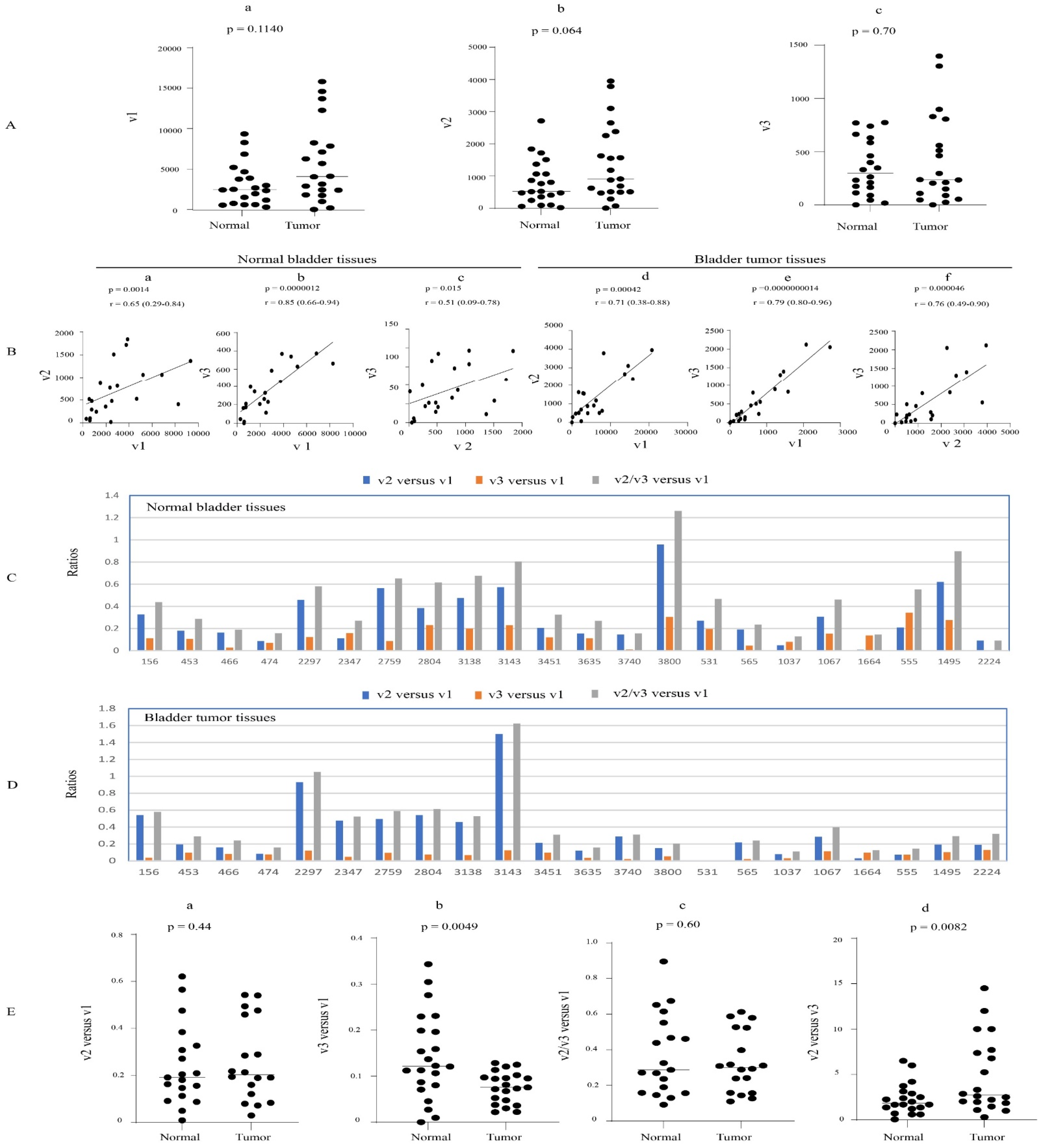 Cancers 16 00353 g008