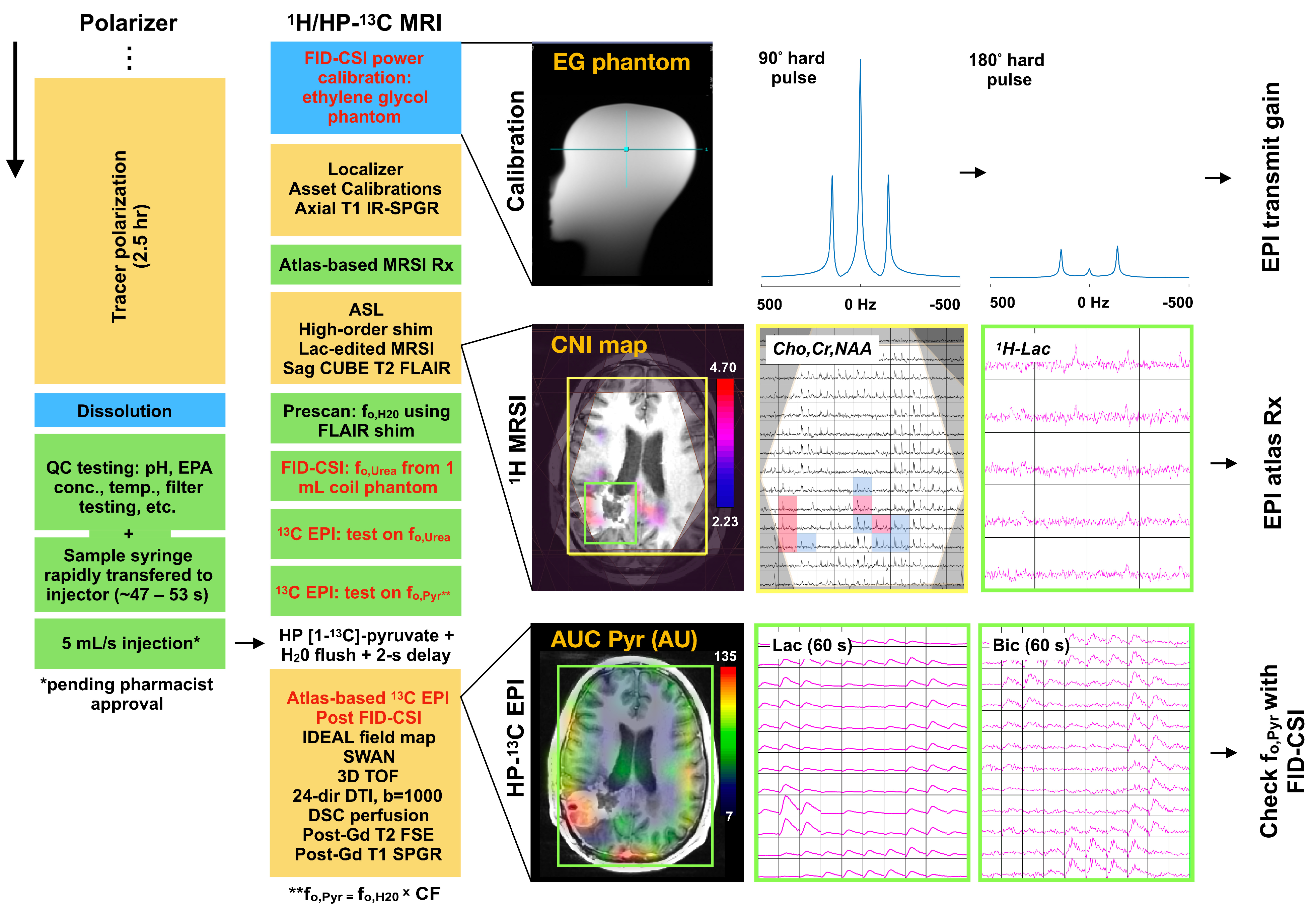 Cancers 16 00354 g001