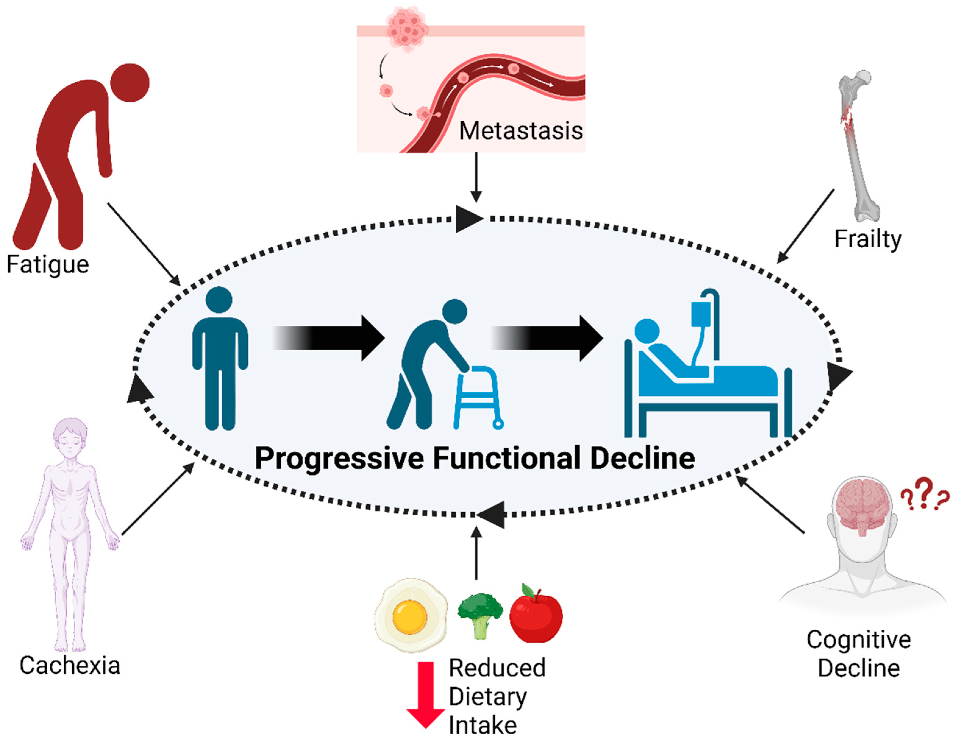 Cancers 16 00360 g001