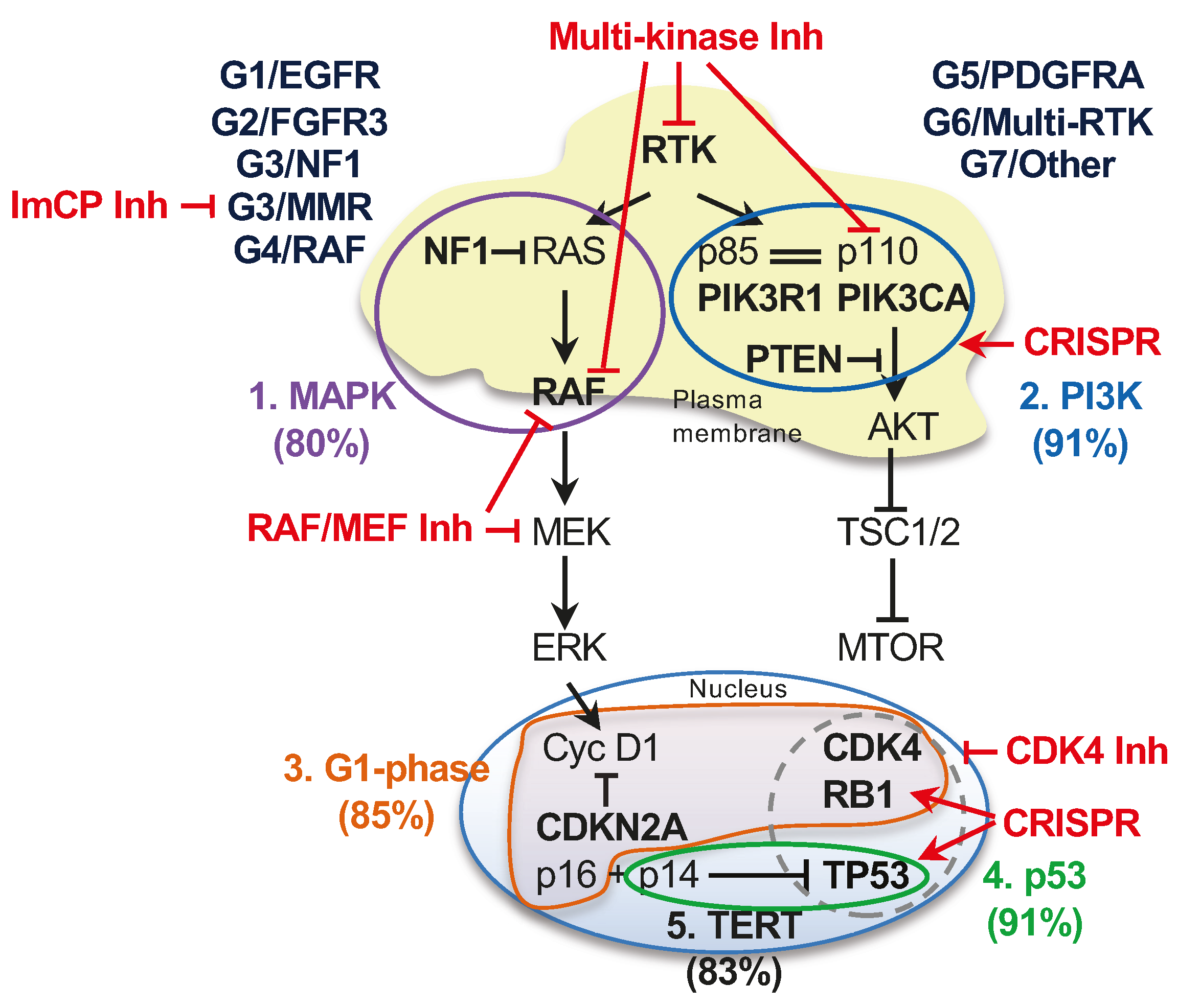 Cancers 16 00361 g006