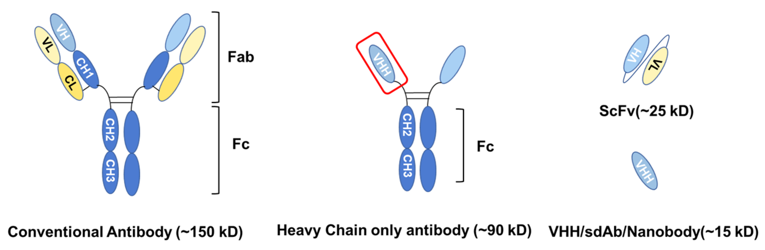 Cancers 16 00371 g001