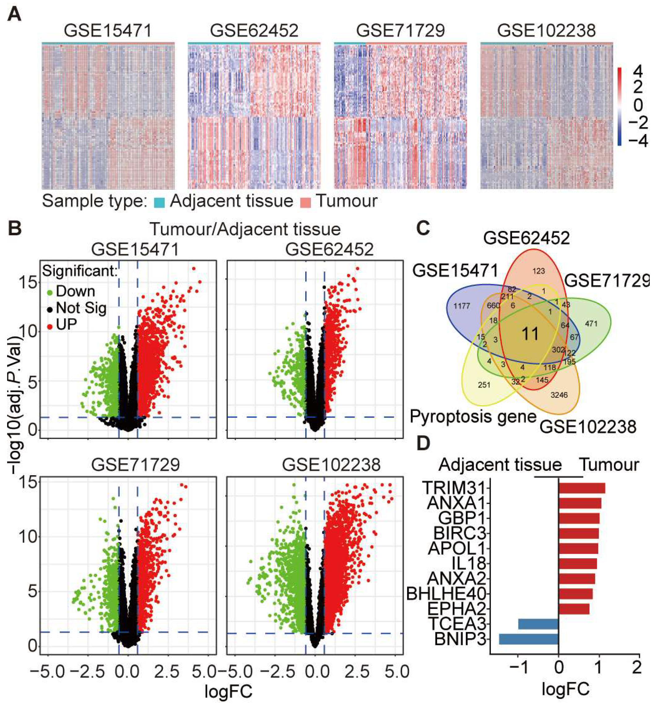 Cancers 16 00372 g004