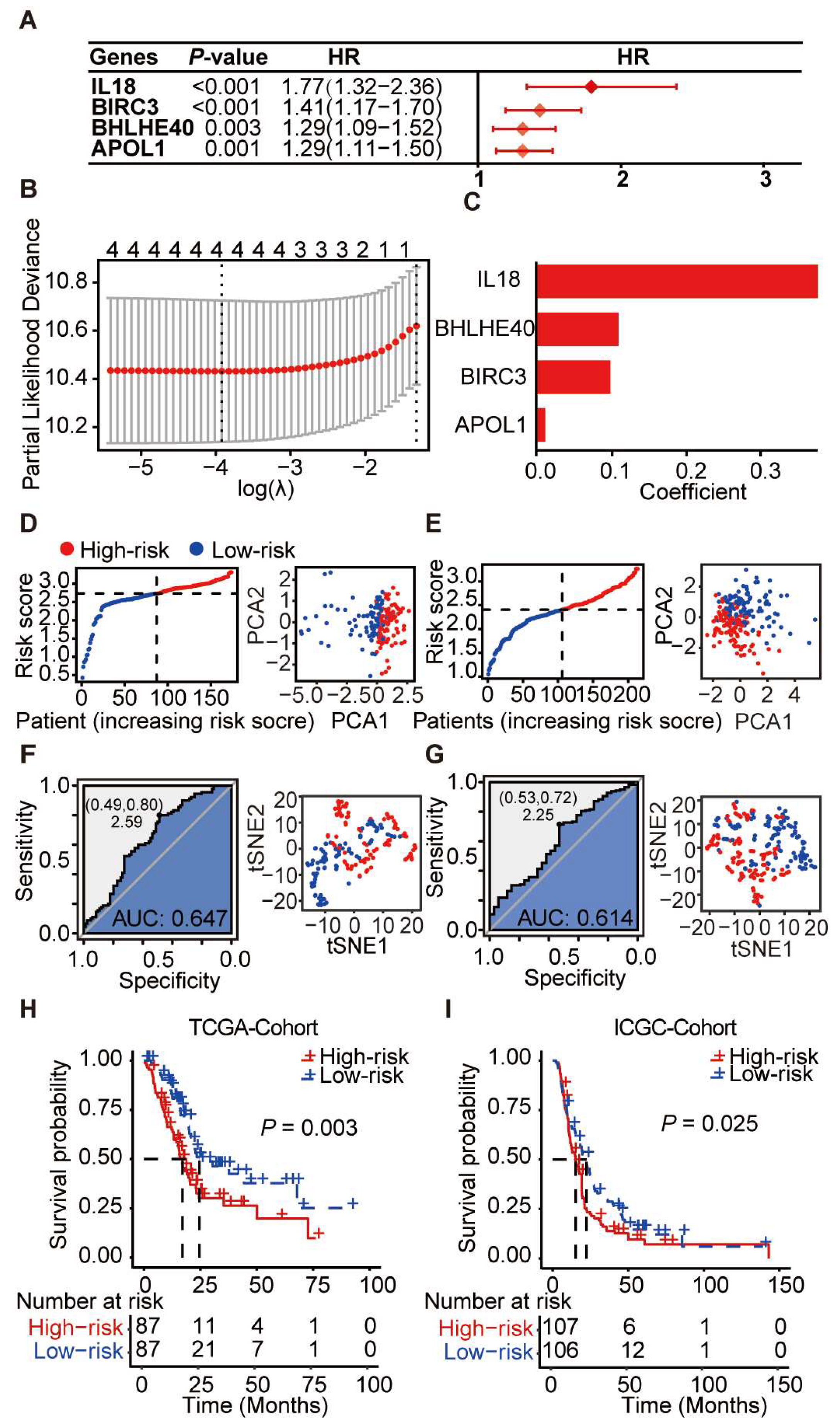 Cancers 16 00372 g006