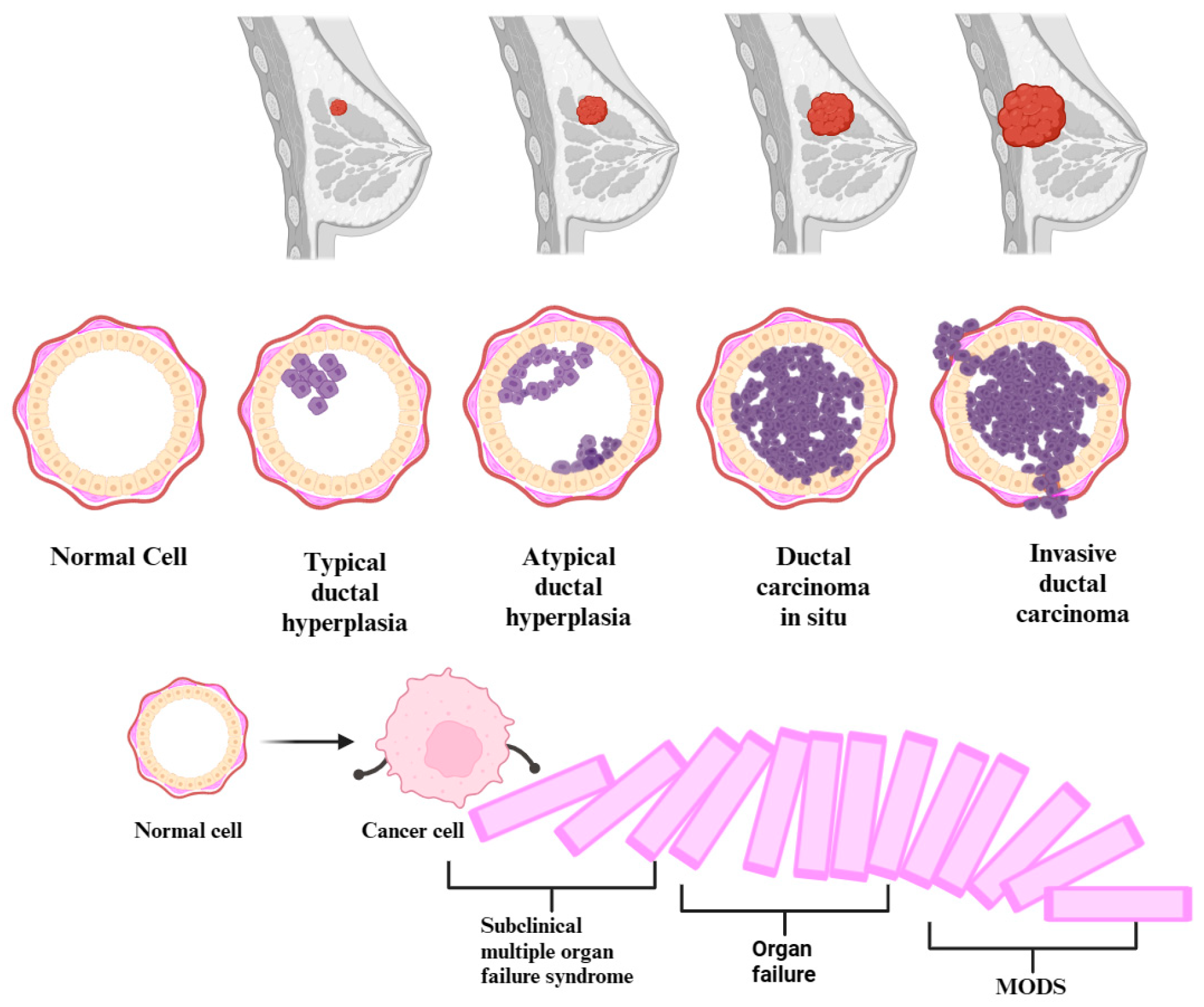 Cancers 16 00381 g002