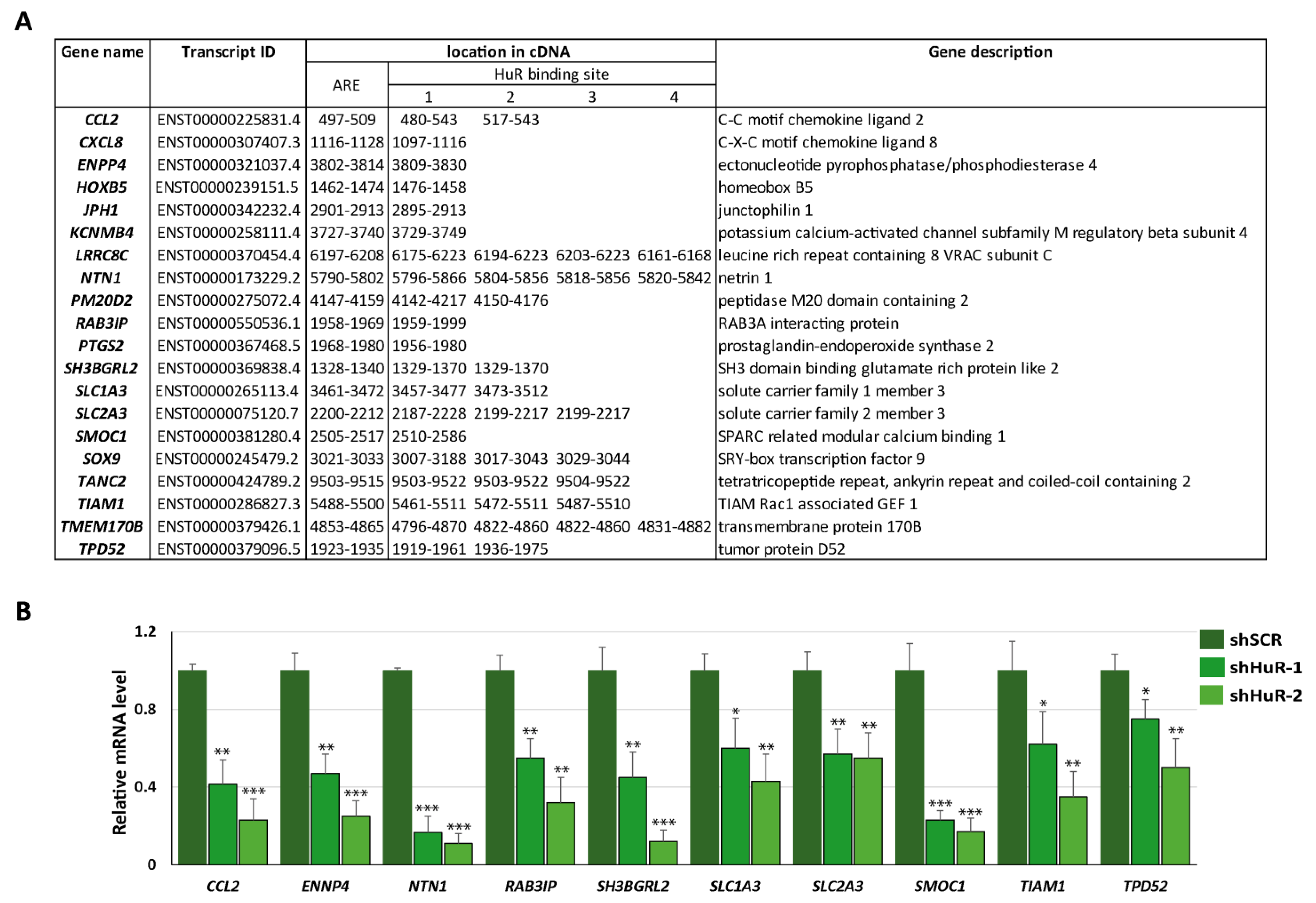 Cancers 16 00384 g002