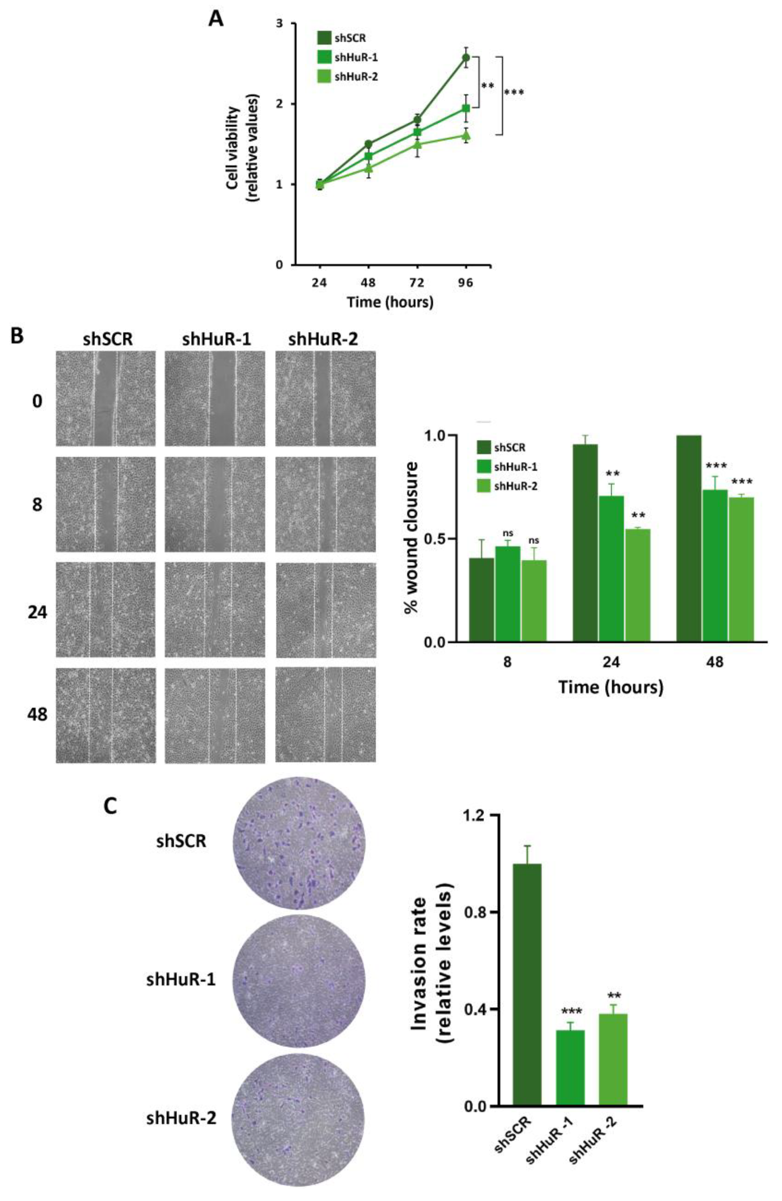 Cancers 16 00384 g005