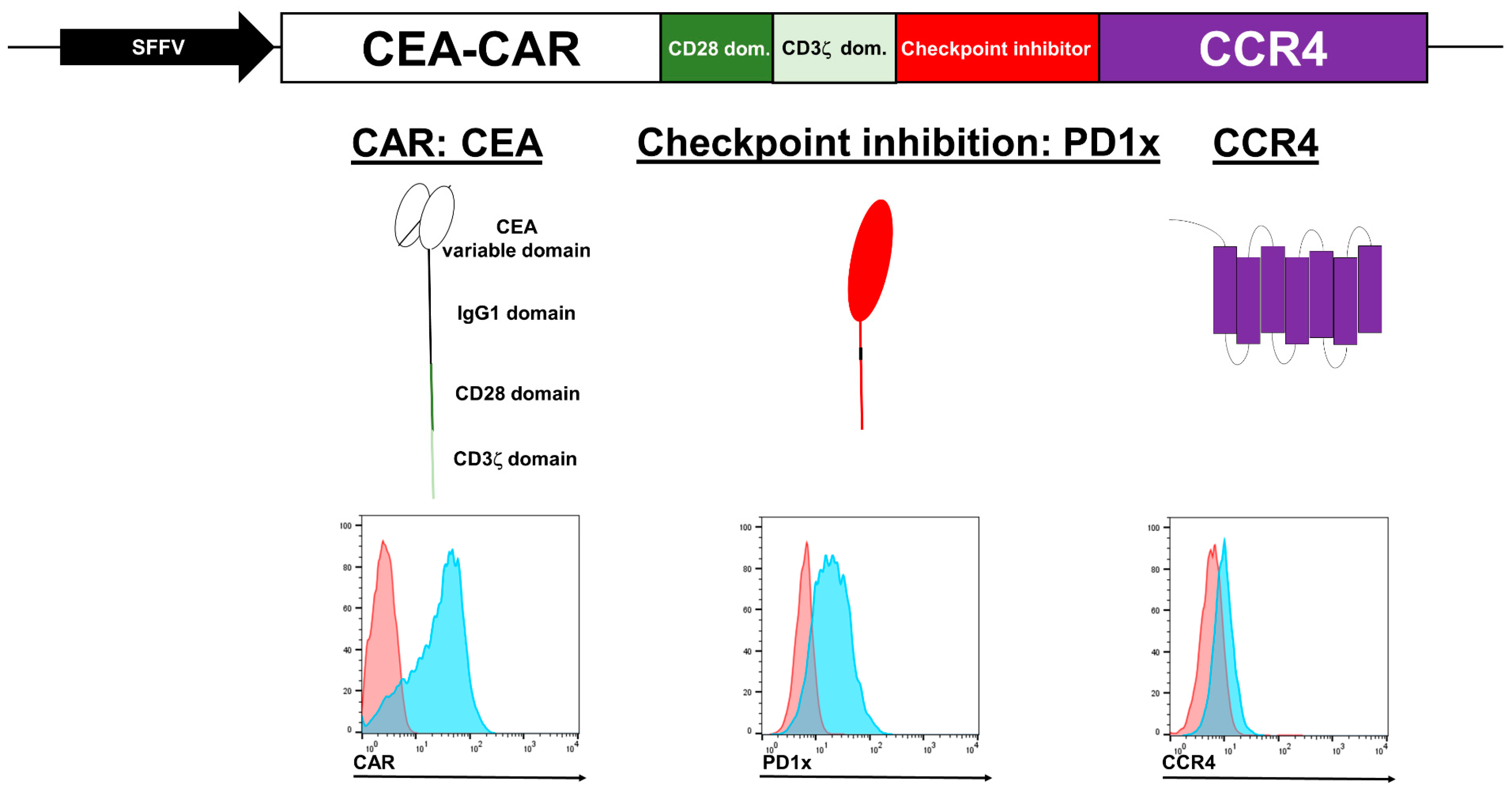 Cancers 16 00388 g001