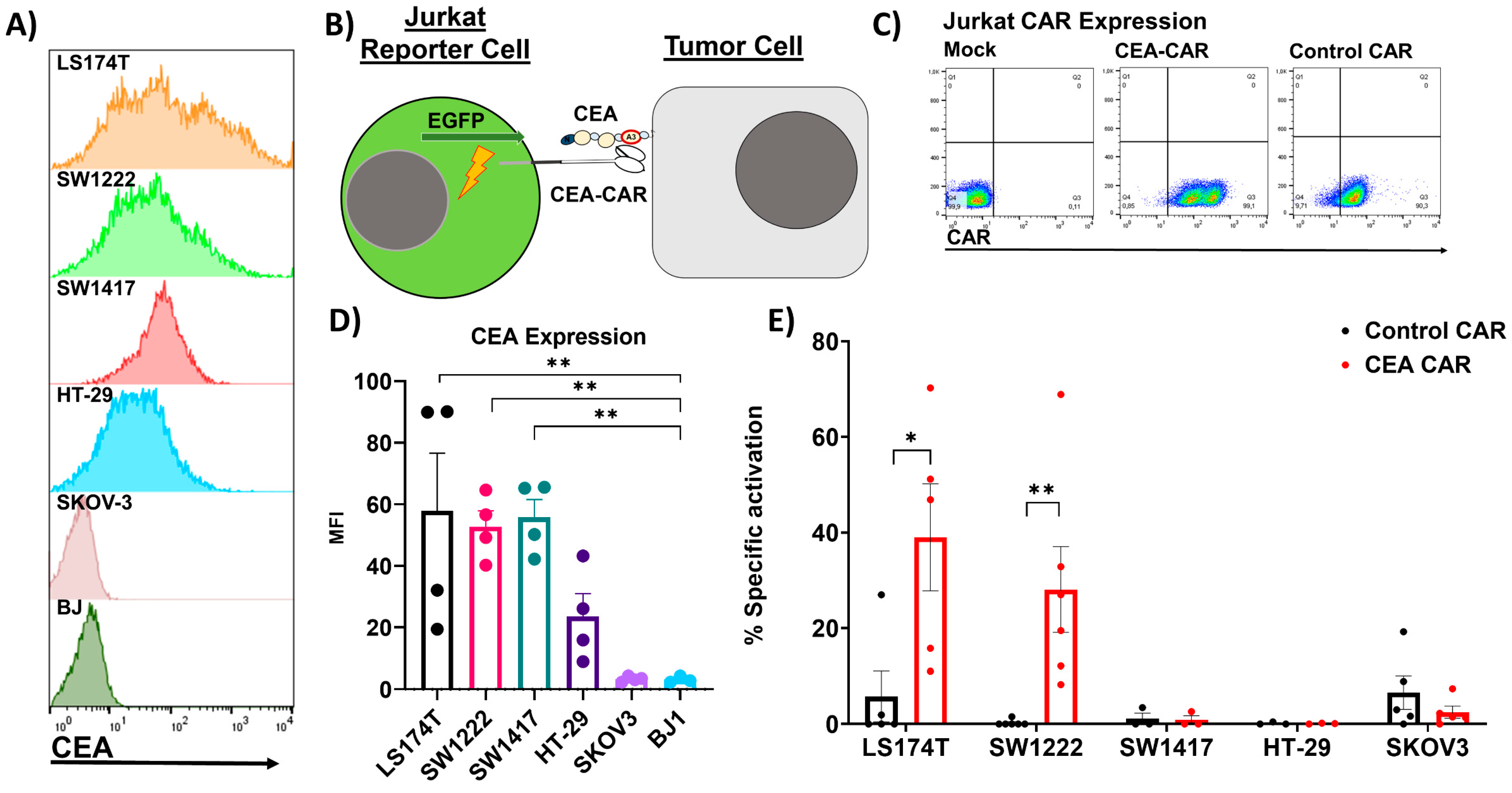 Cancers 16 00388 g002