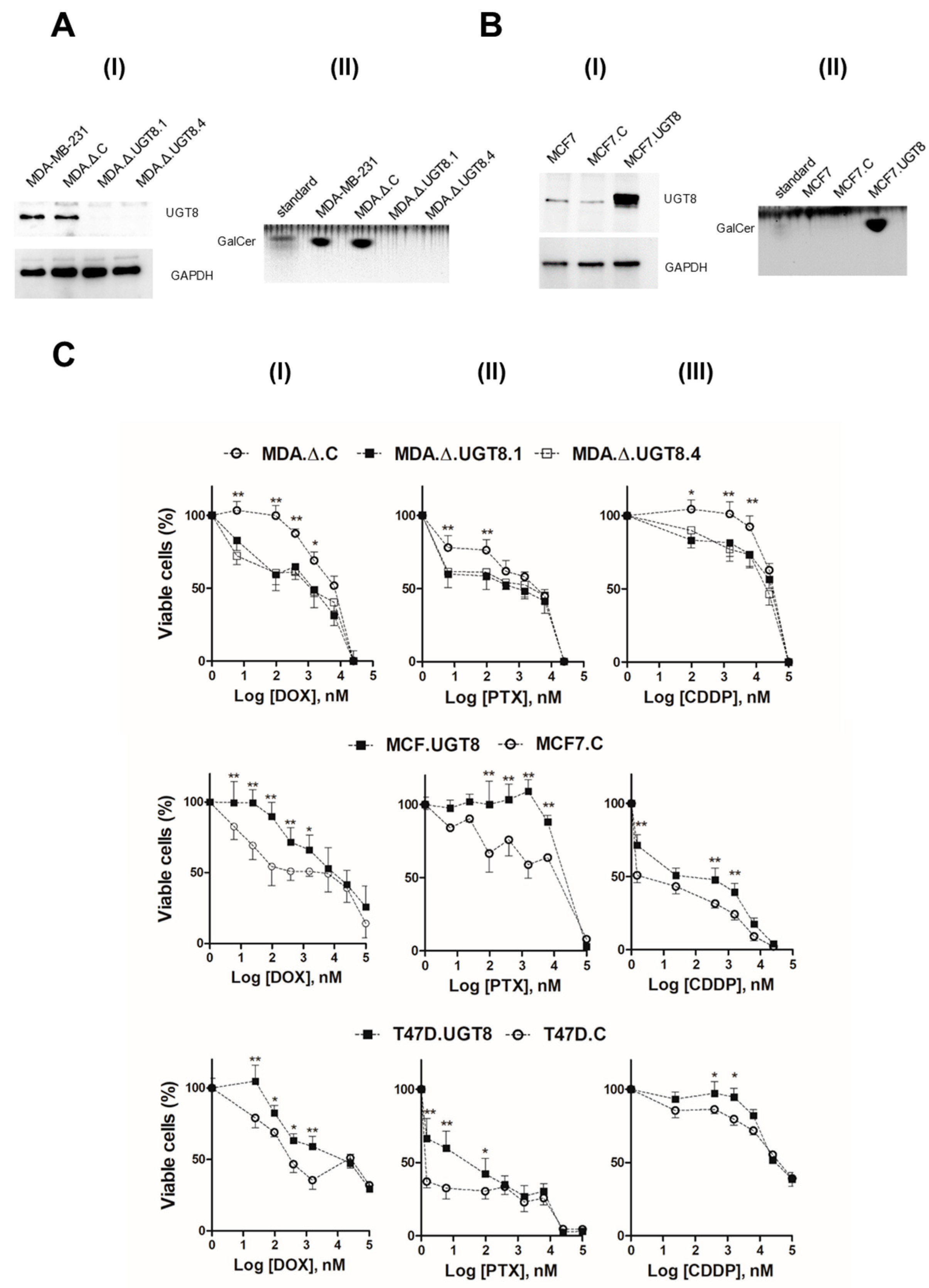 Cancers 16 00389 g001