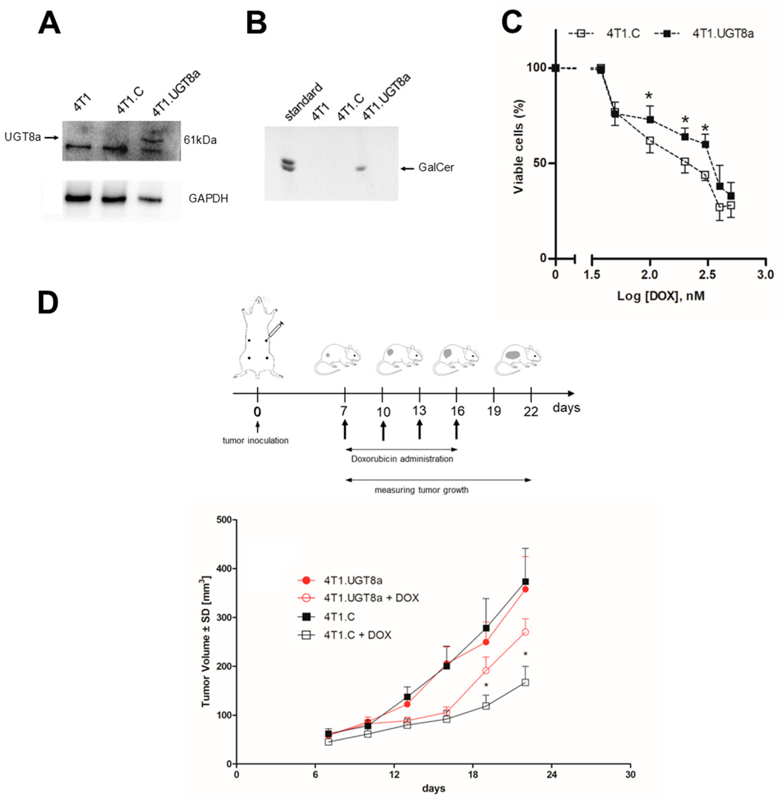 Cancers 16 00389 g002