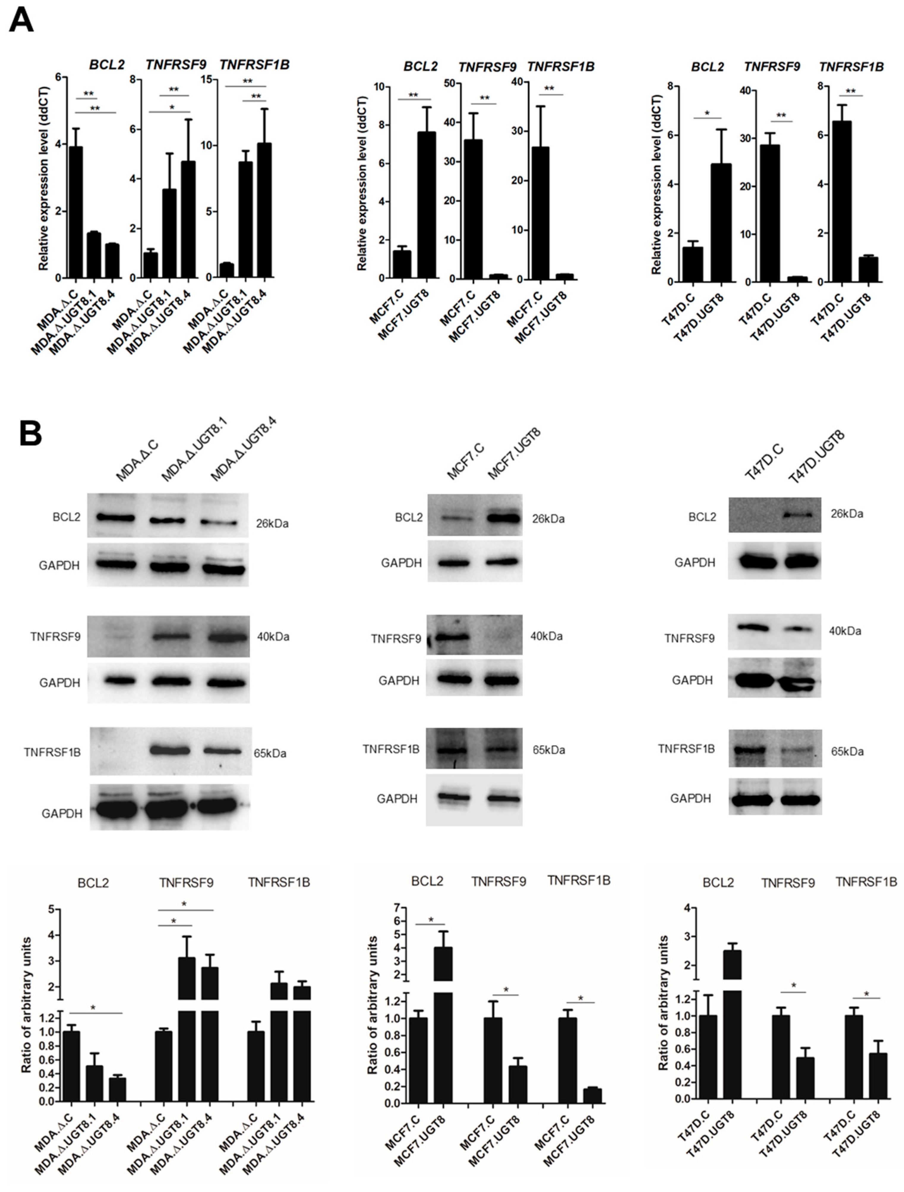 Cancers 16 00389 g003