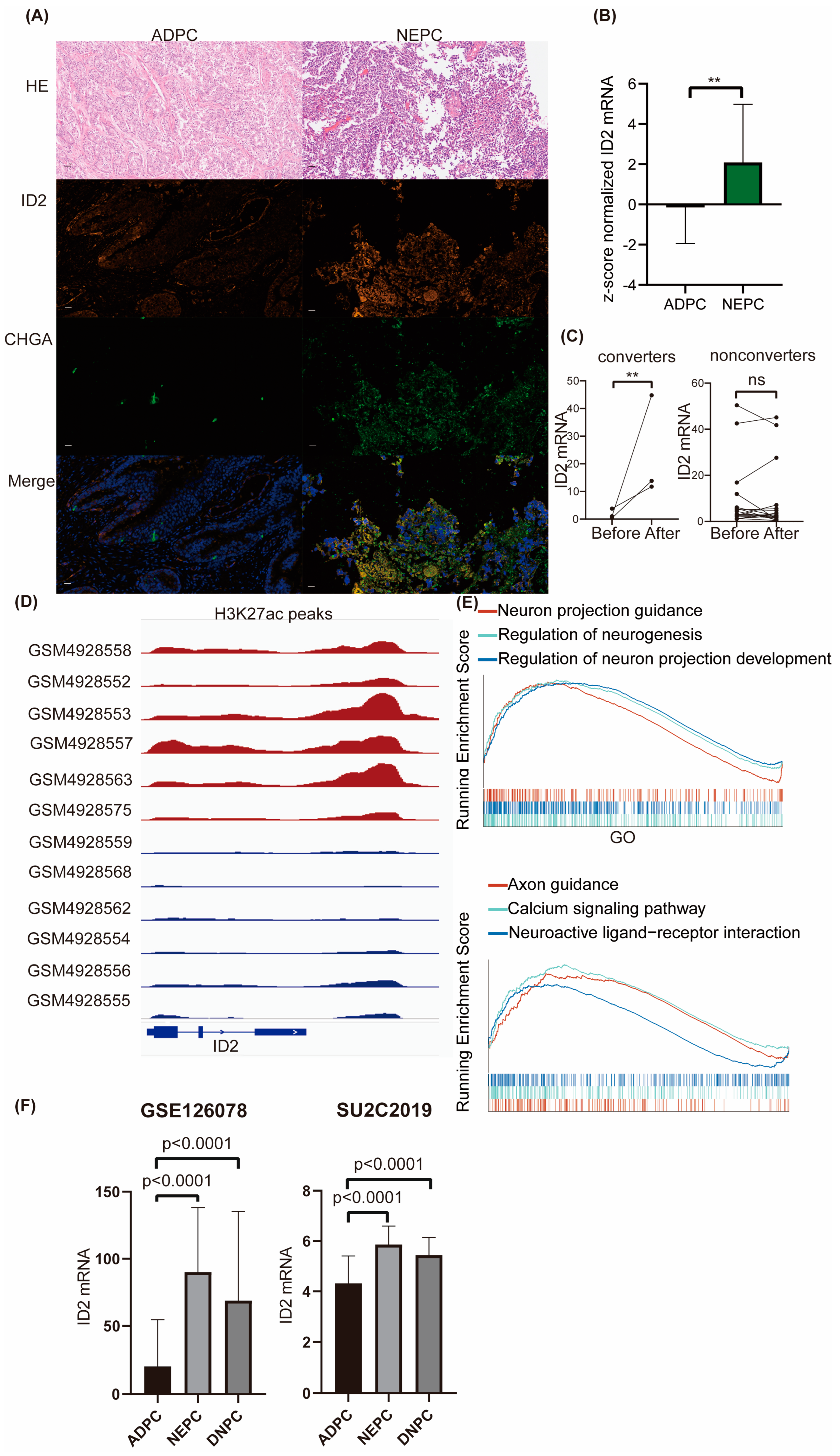 Cancers 16 00392 g001