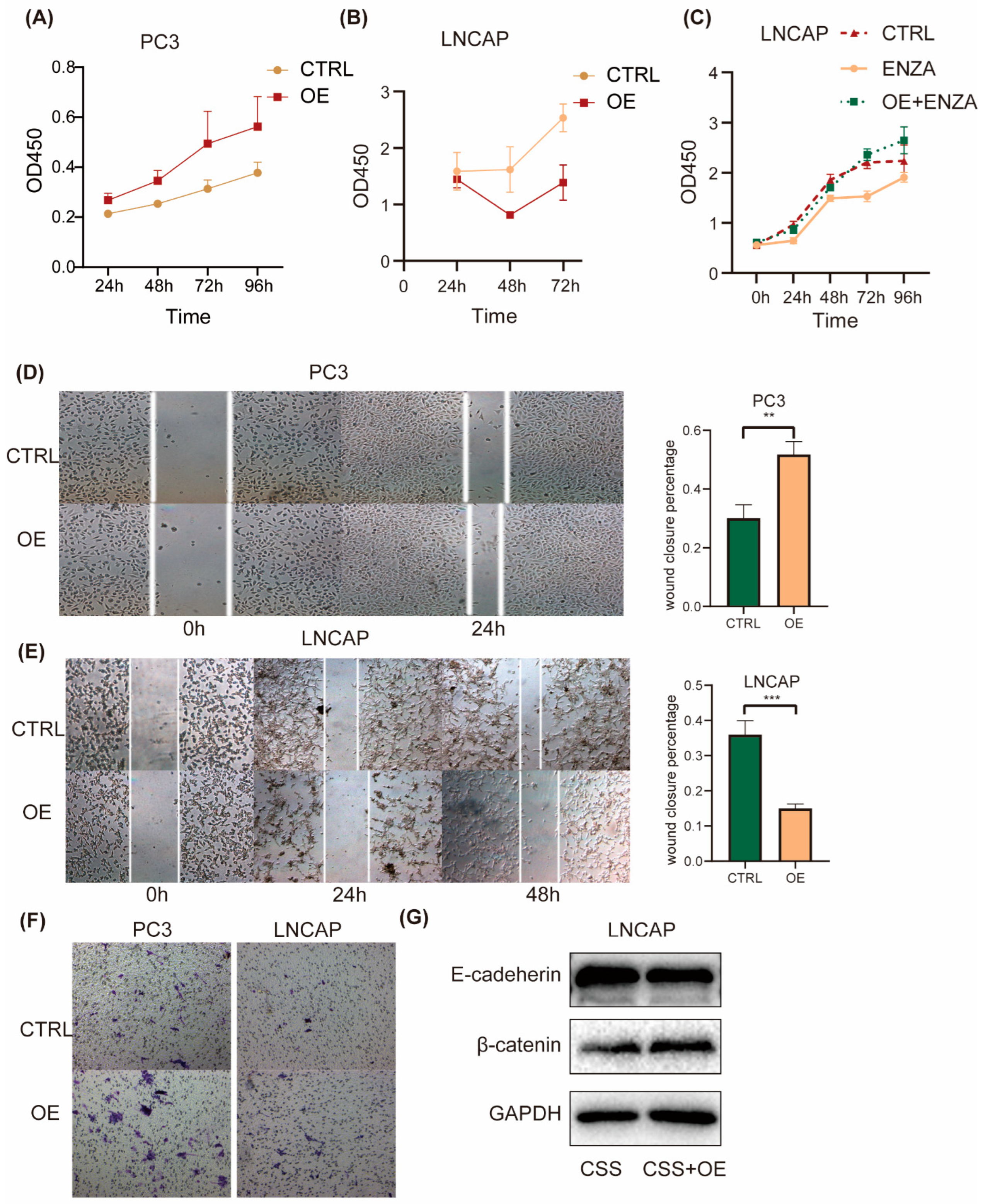 Cancers 16 00392 g004