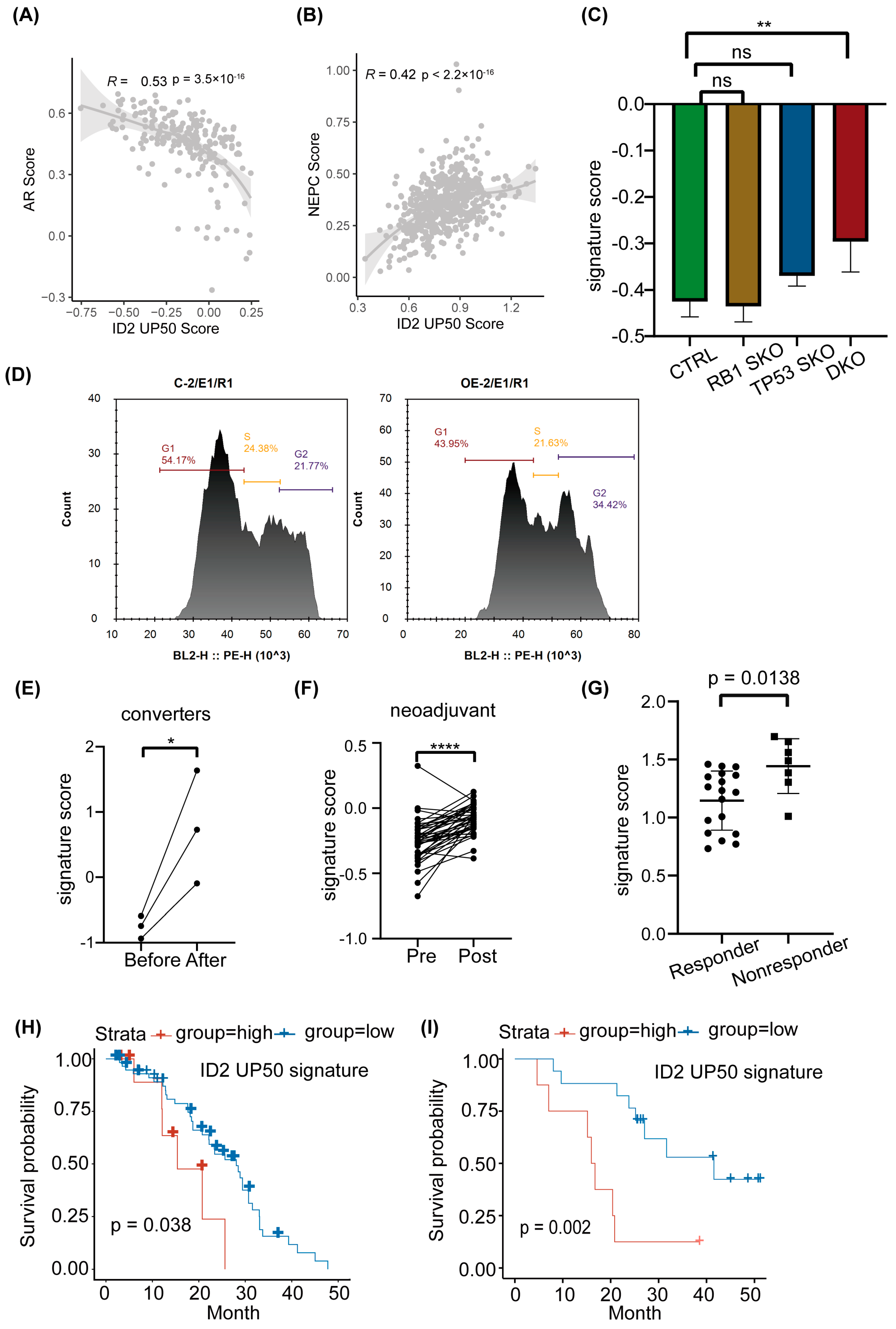 Cancers 16 00392 g005
