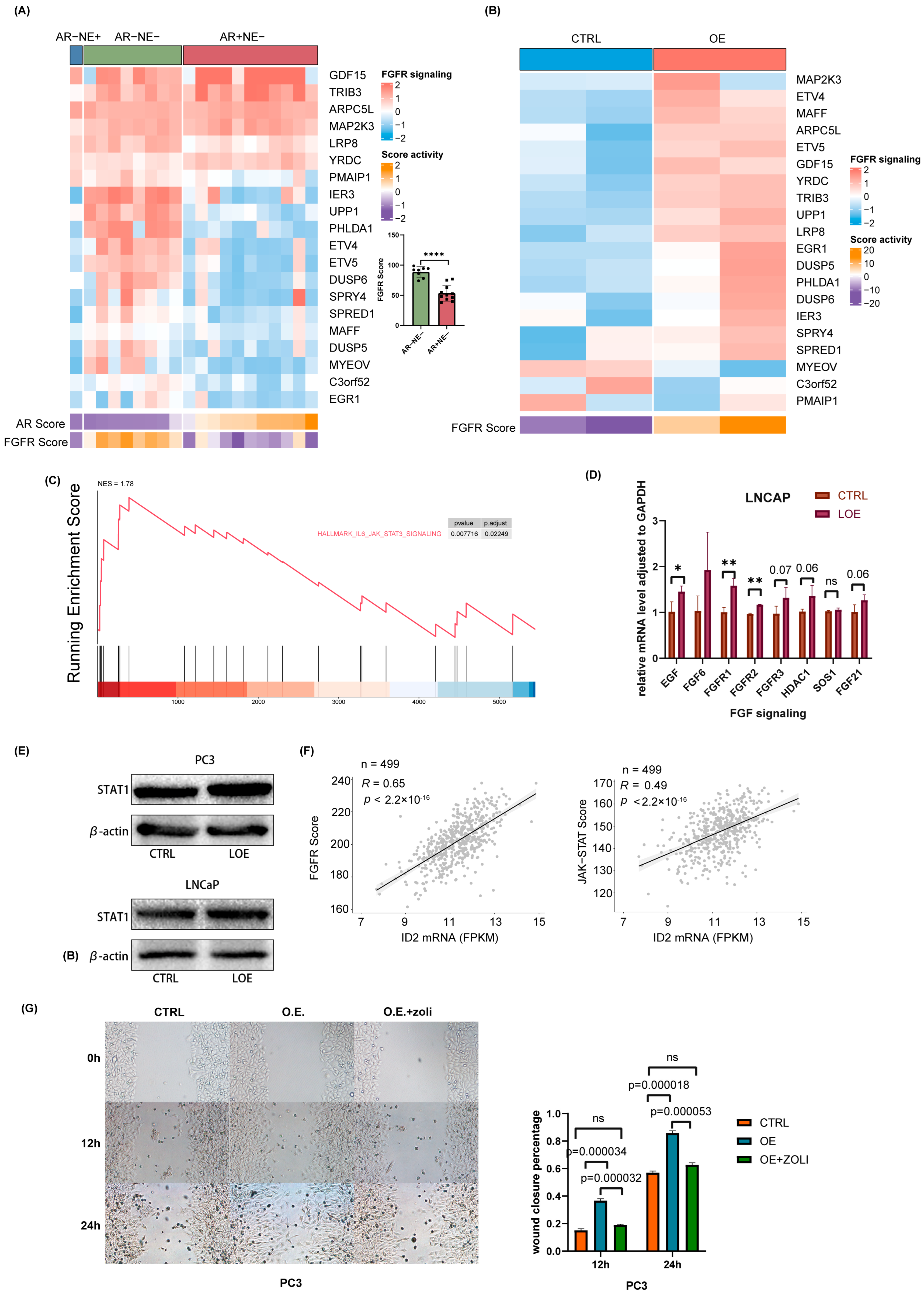 Cancers 16 00392 g006