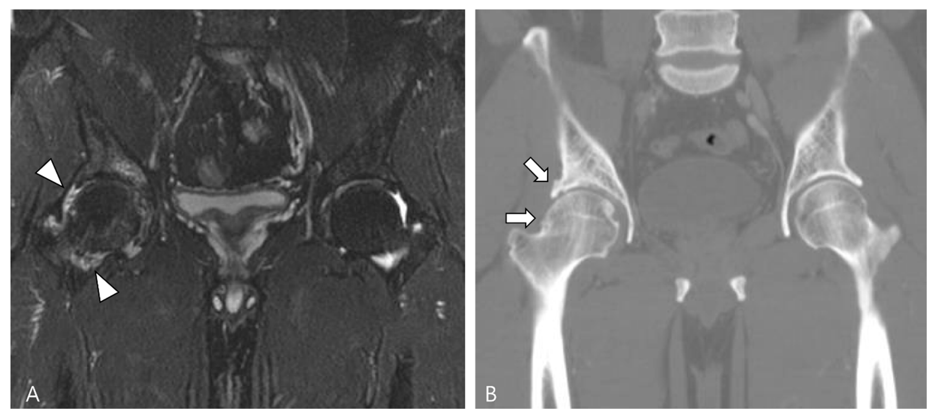 Cancers 16 00402 g019