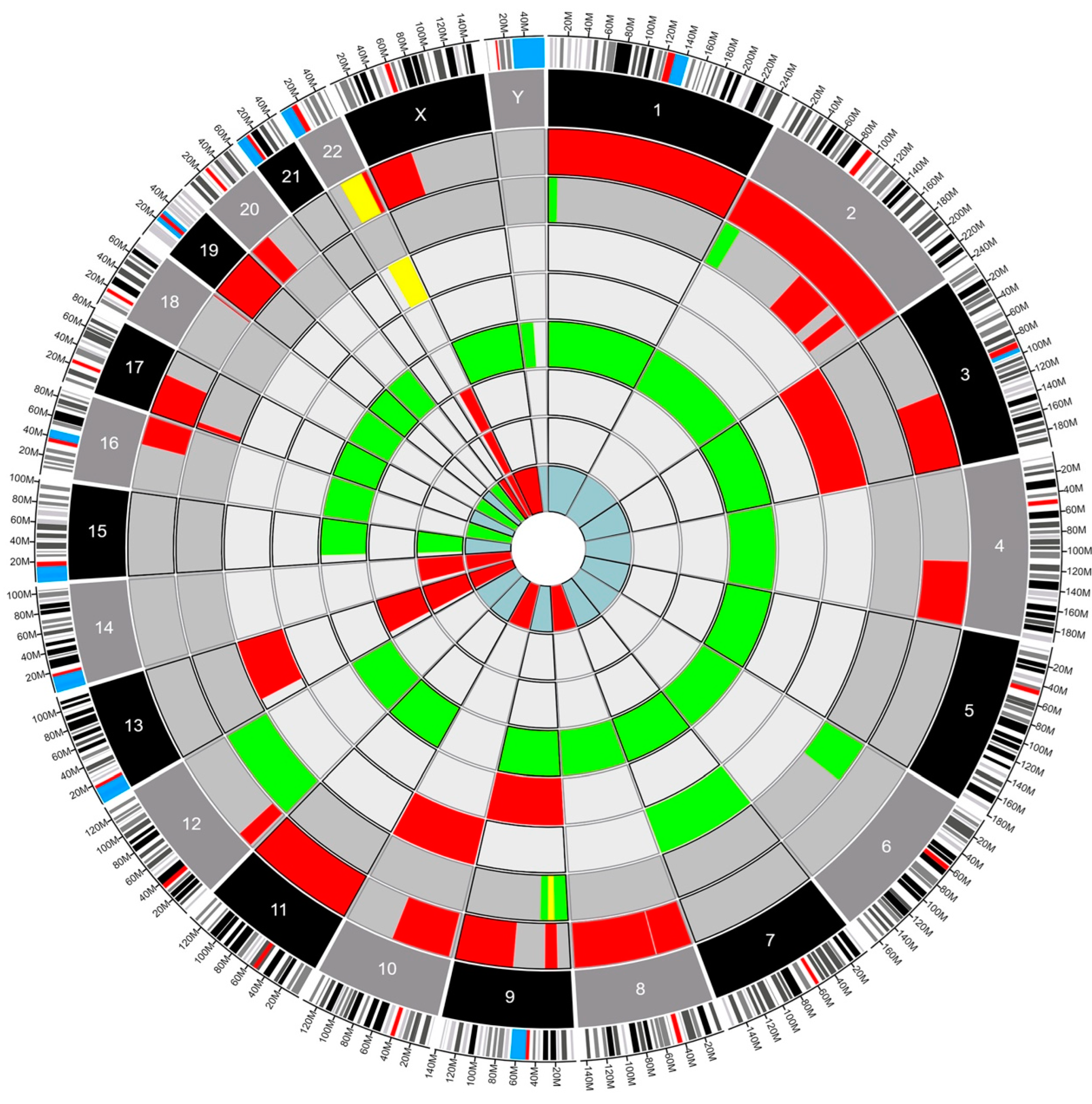 Cancers 16 00404 g001