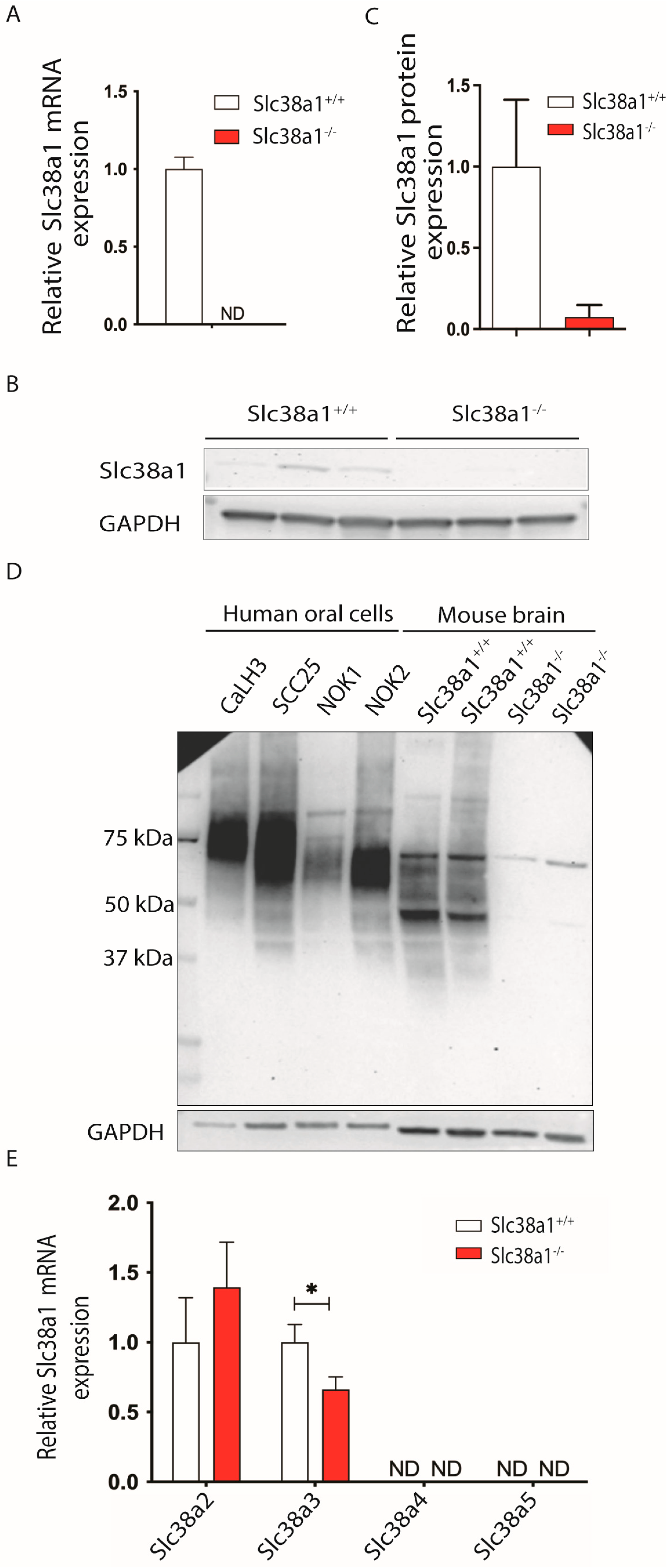 Cancers 16 00405 g001