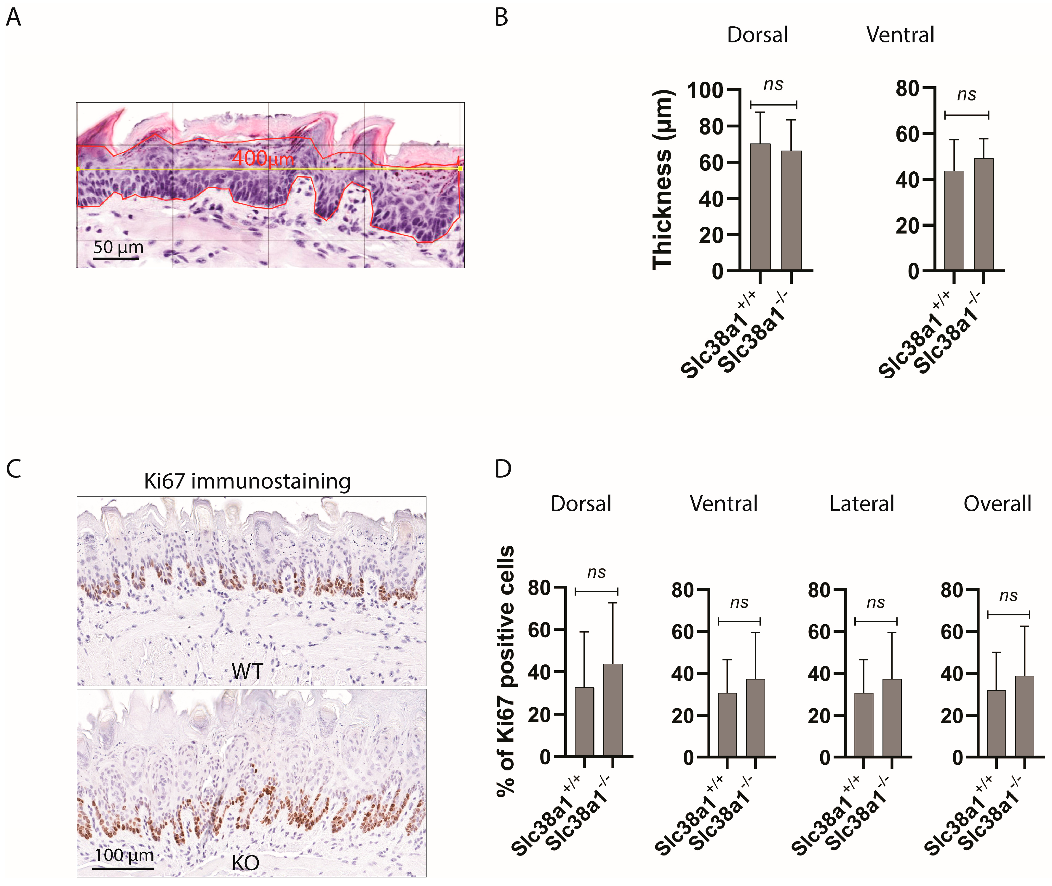 Cancers 16 00405 g002