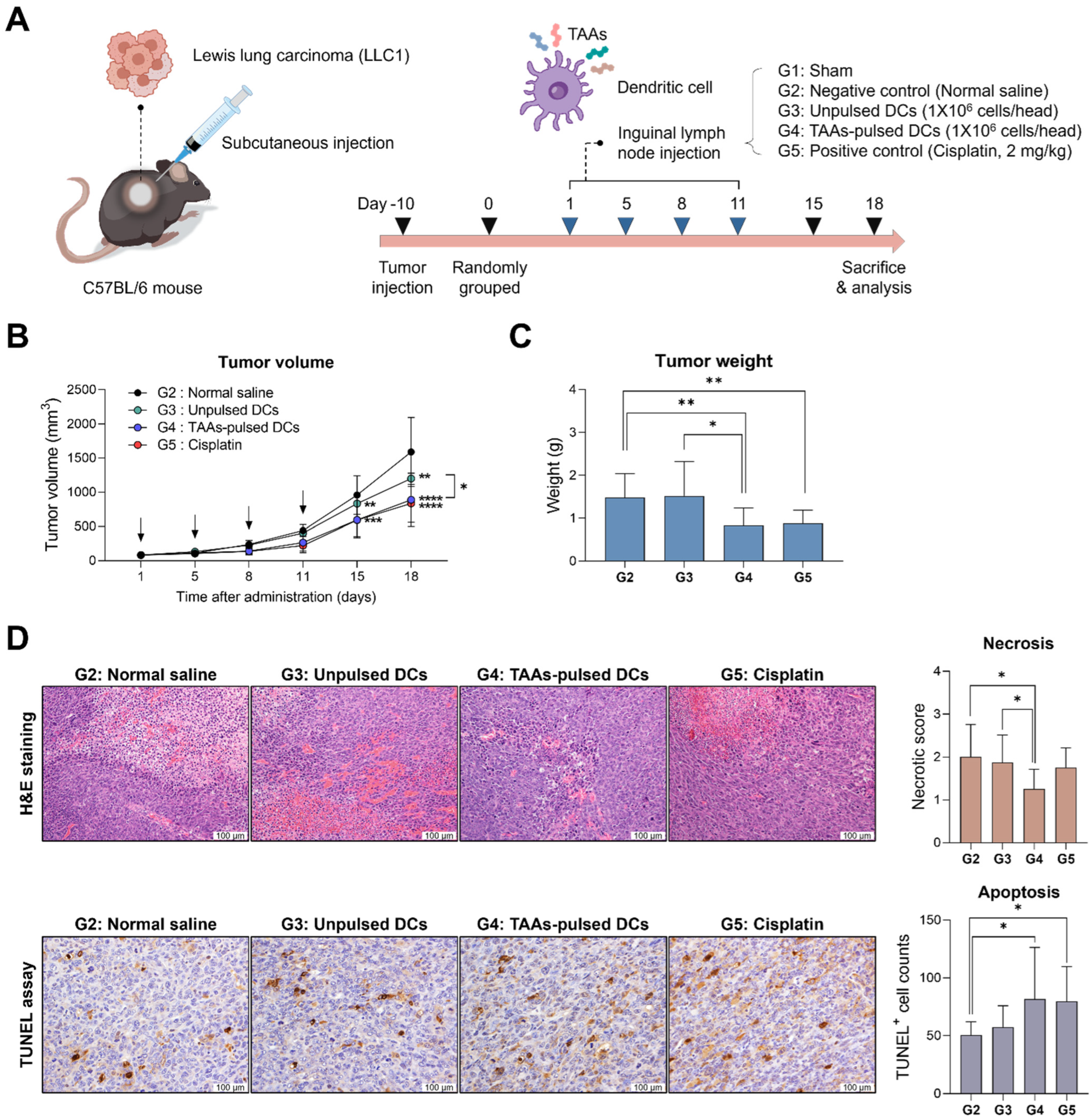 Cancers 16 00409 g002