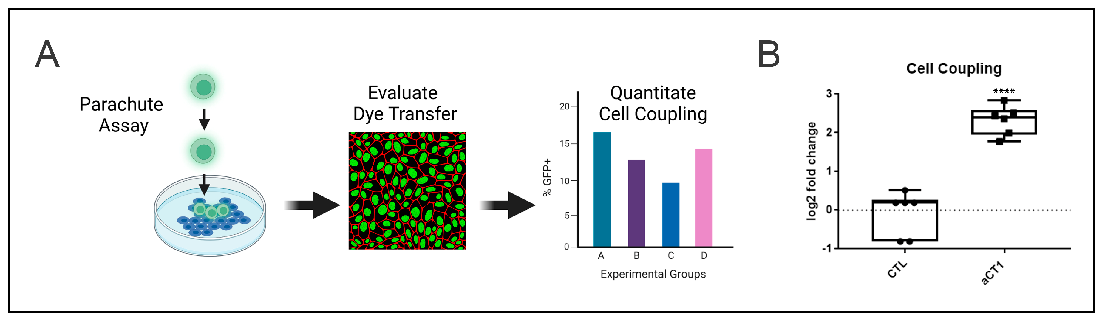 Cancers 16 00423 g001