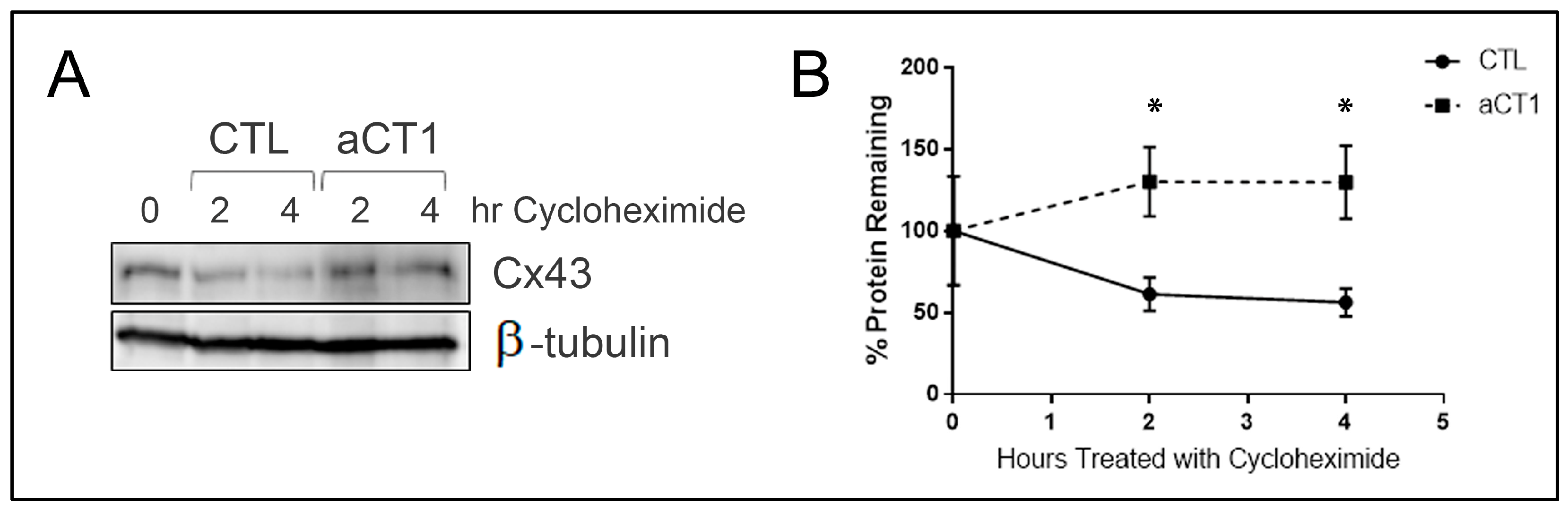Cancers 16 00423 g002