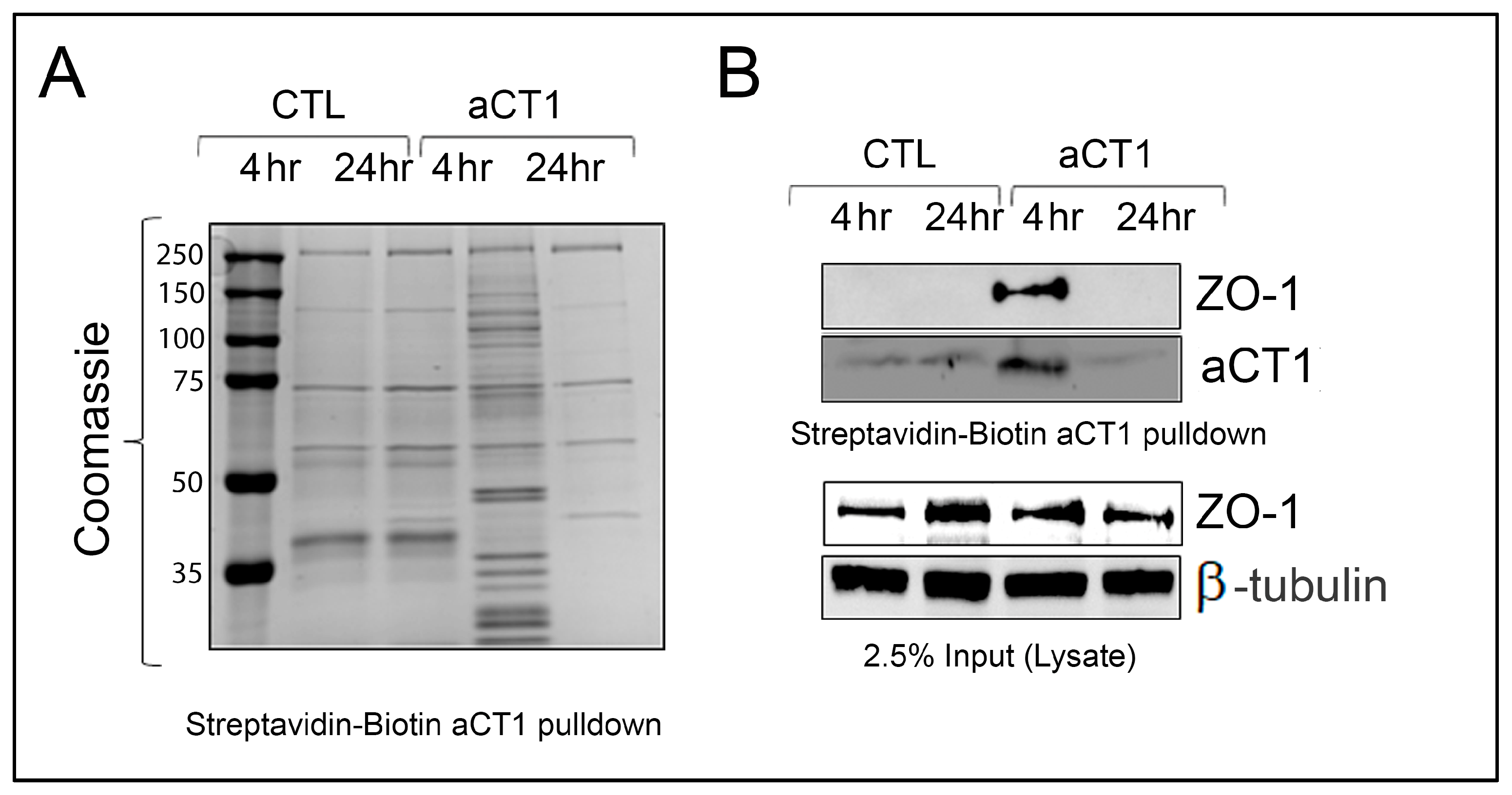 Cancers 16 00423 g003