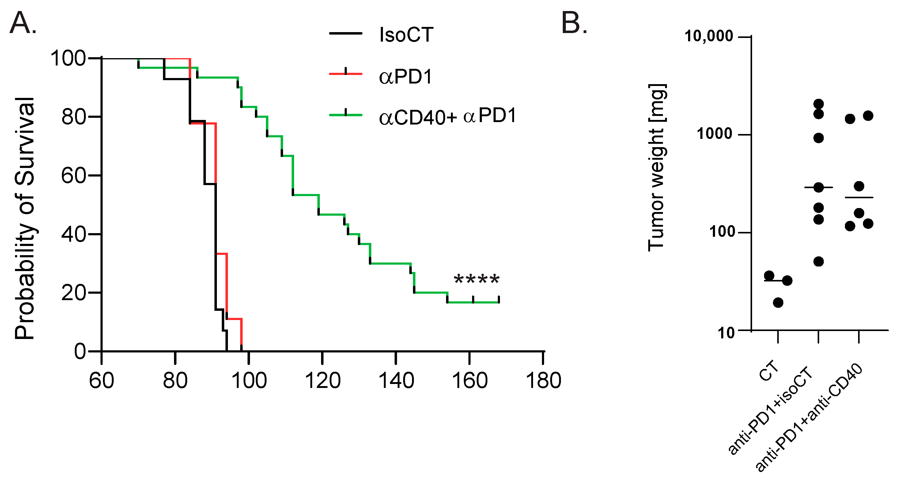 Cancers 16 00433 g001