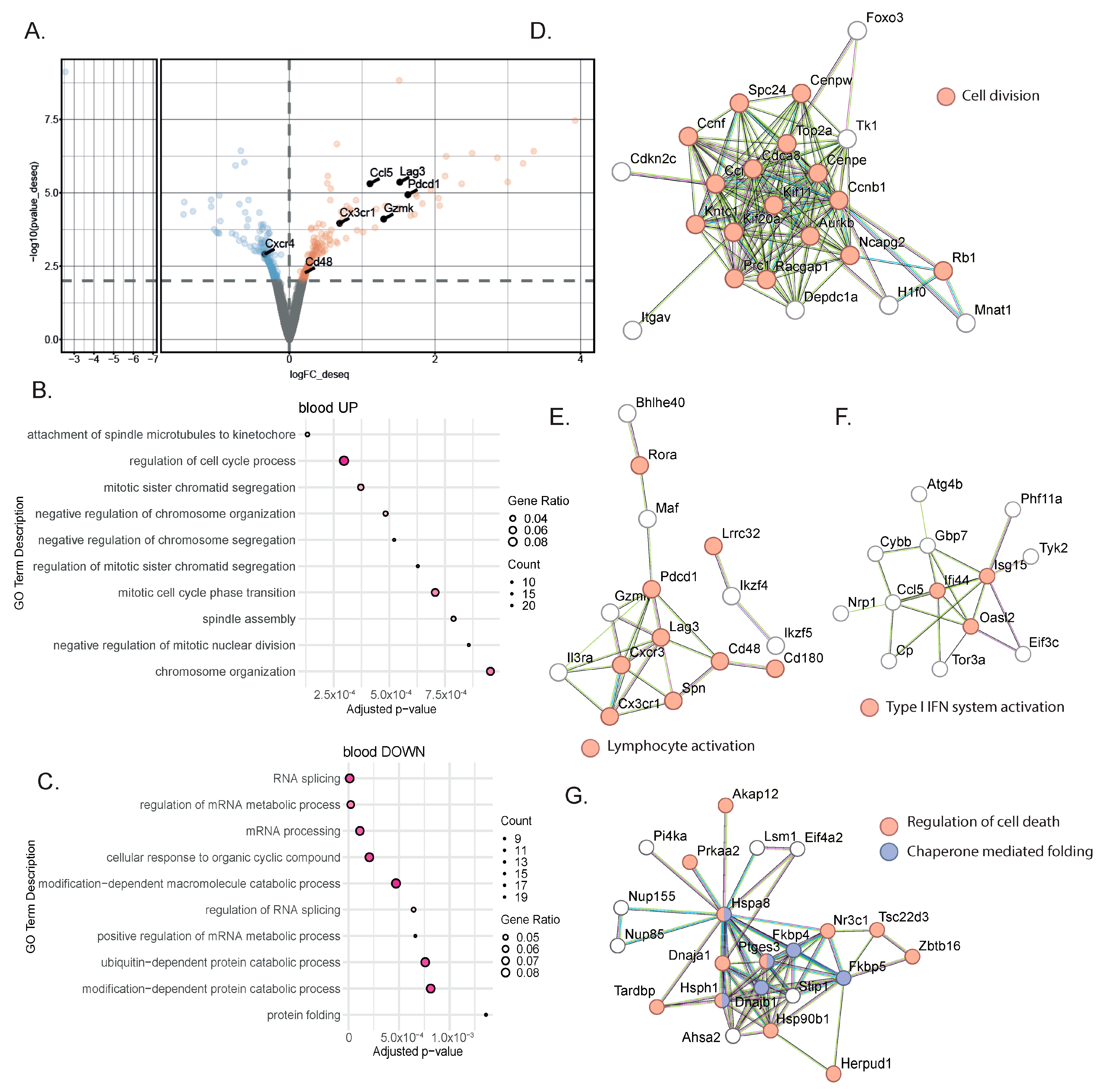 Cancers 16 00433 g002