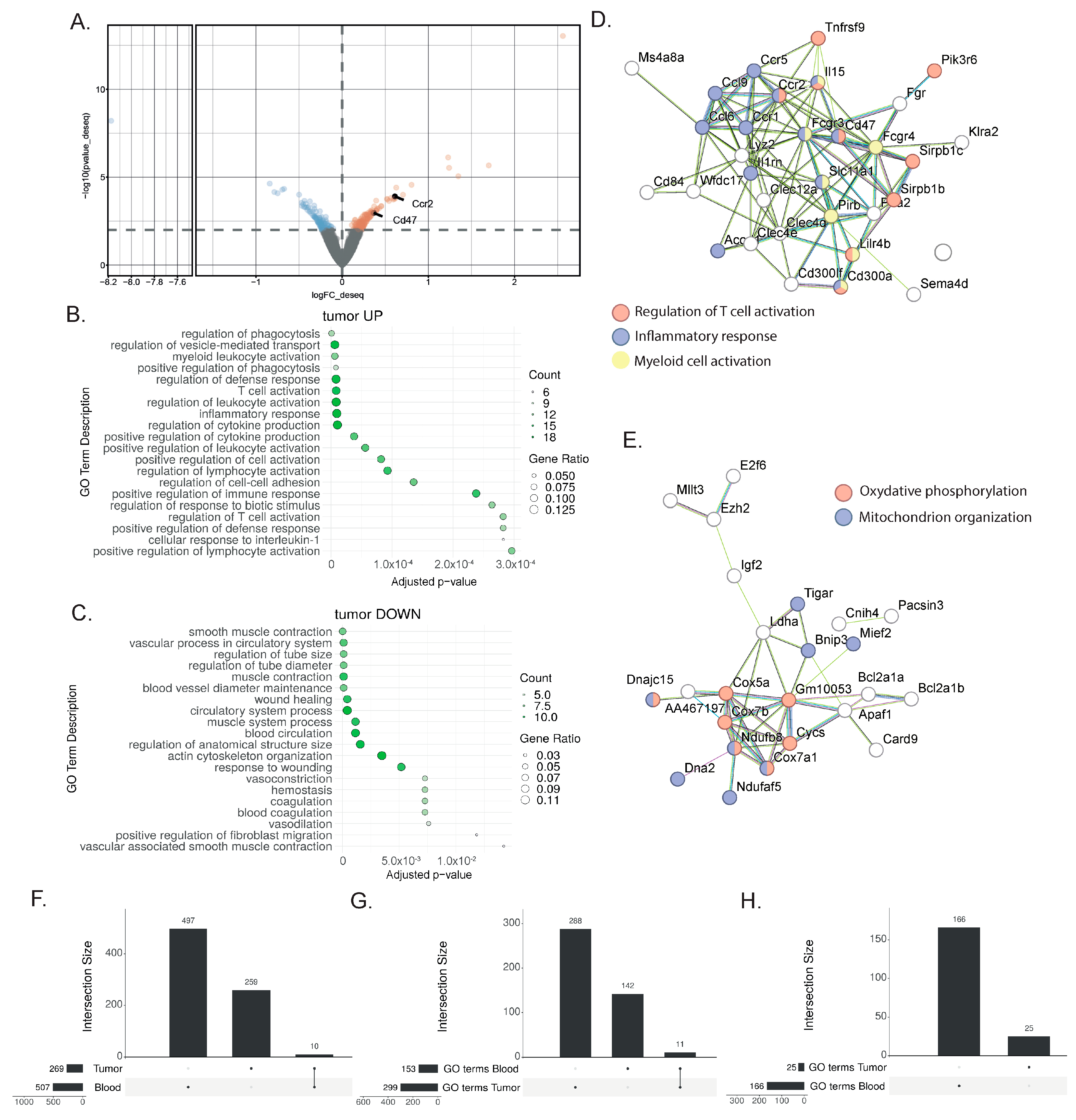 Cancers 16 00433 g003