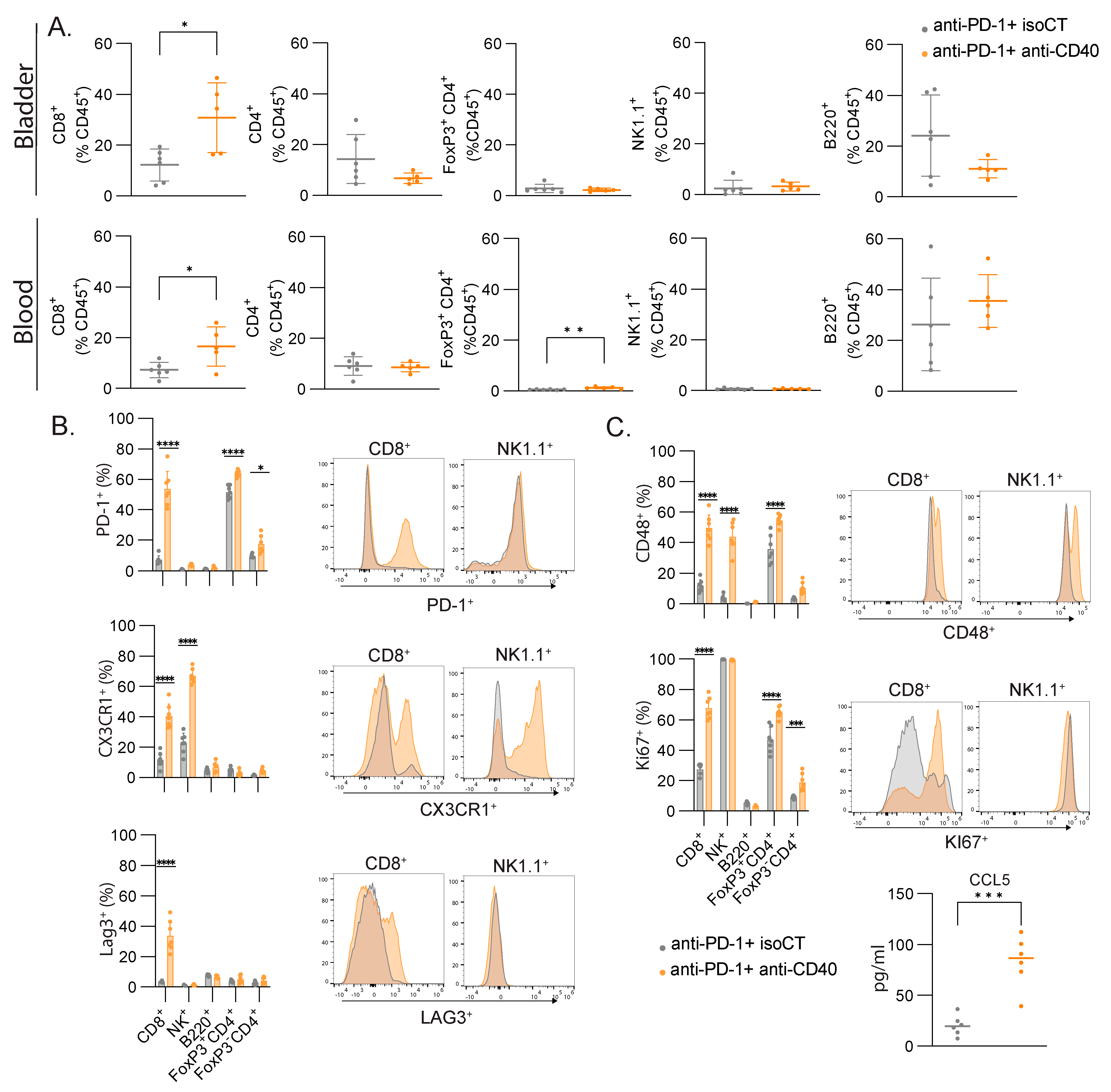 Cancers 16 00433 g005