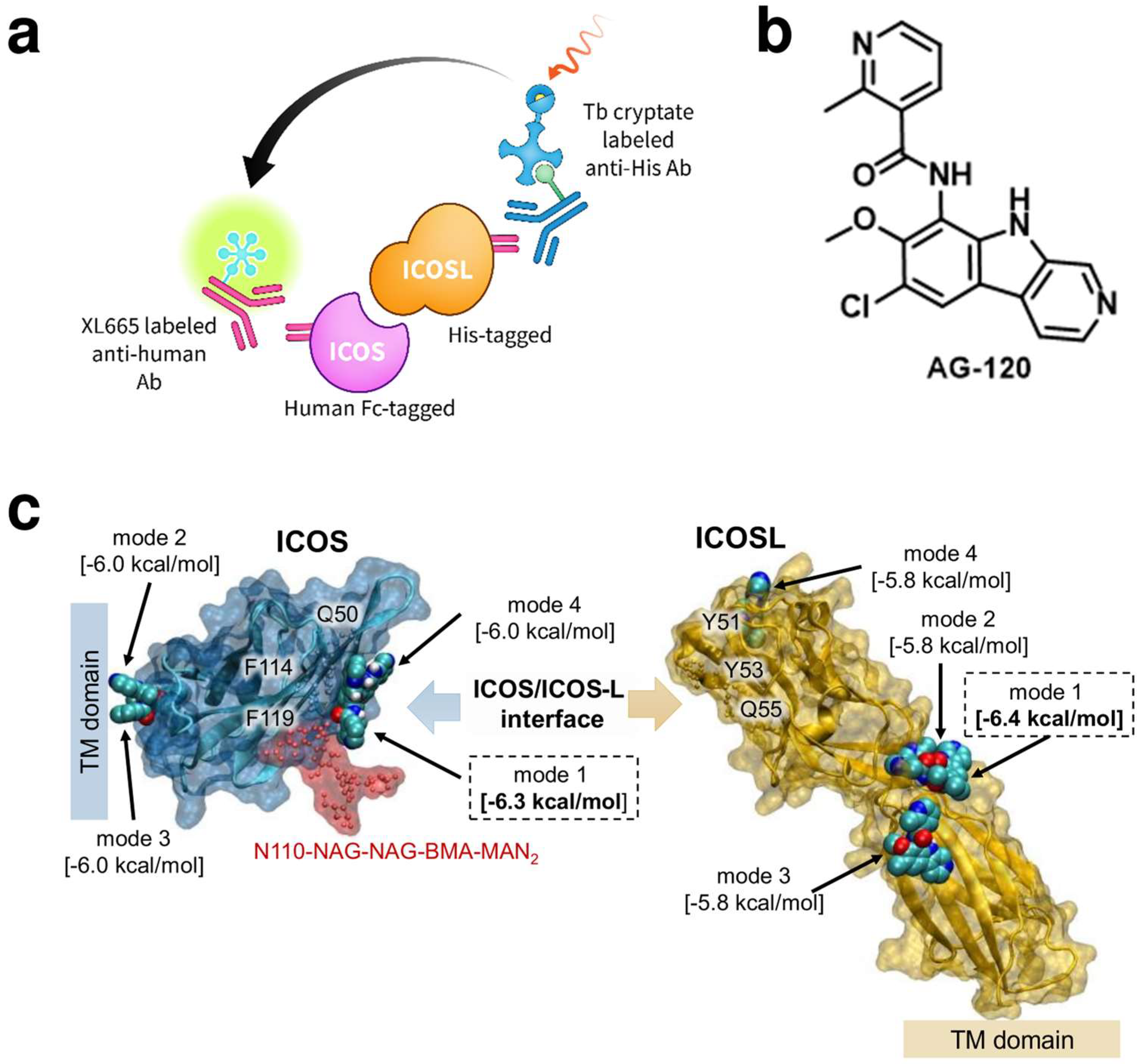 Cancers 16 00435 g006