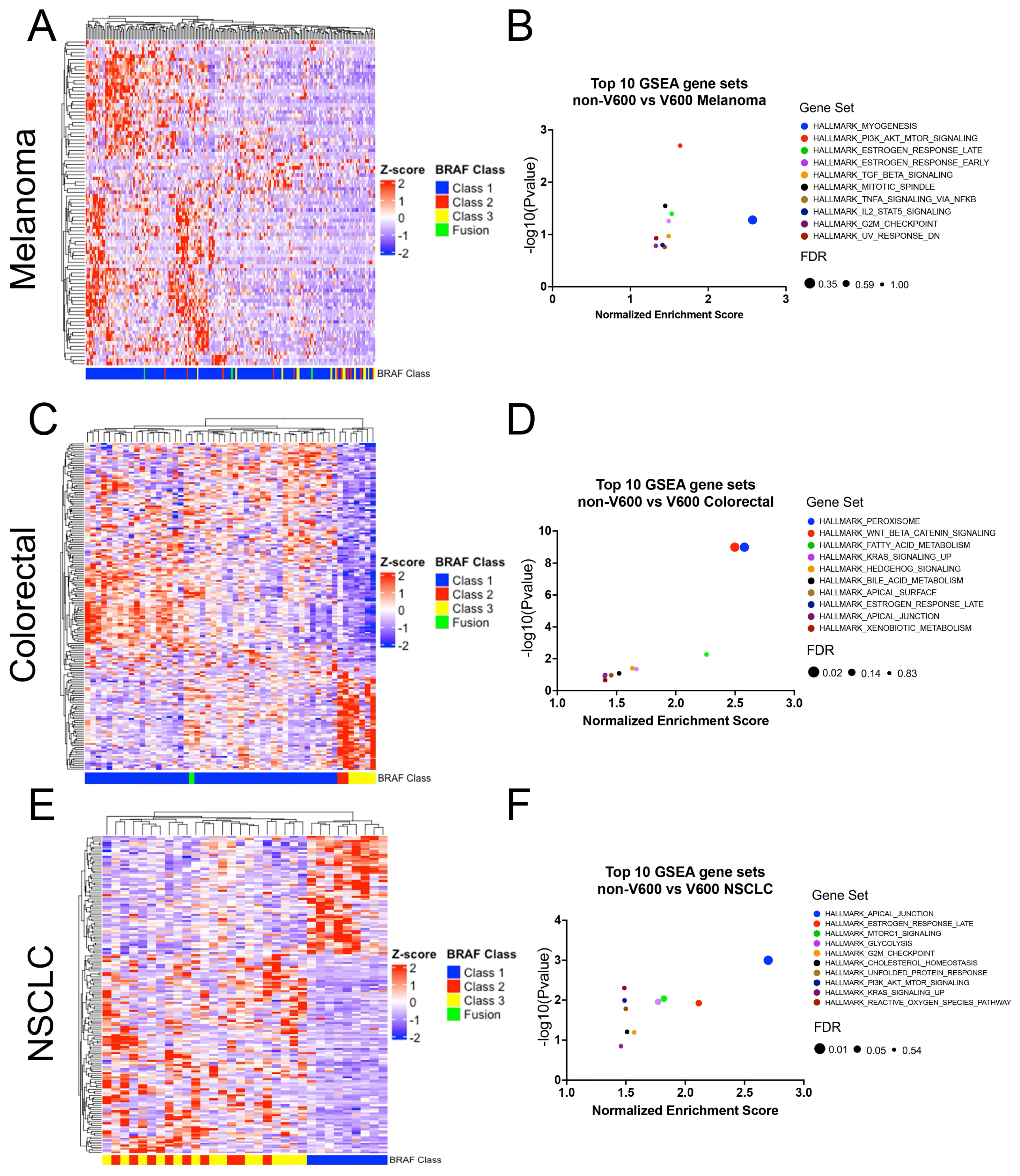 Cancers 16 00445 g003