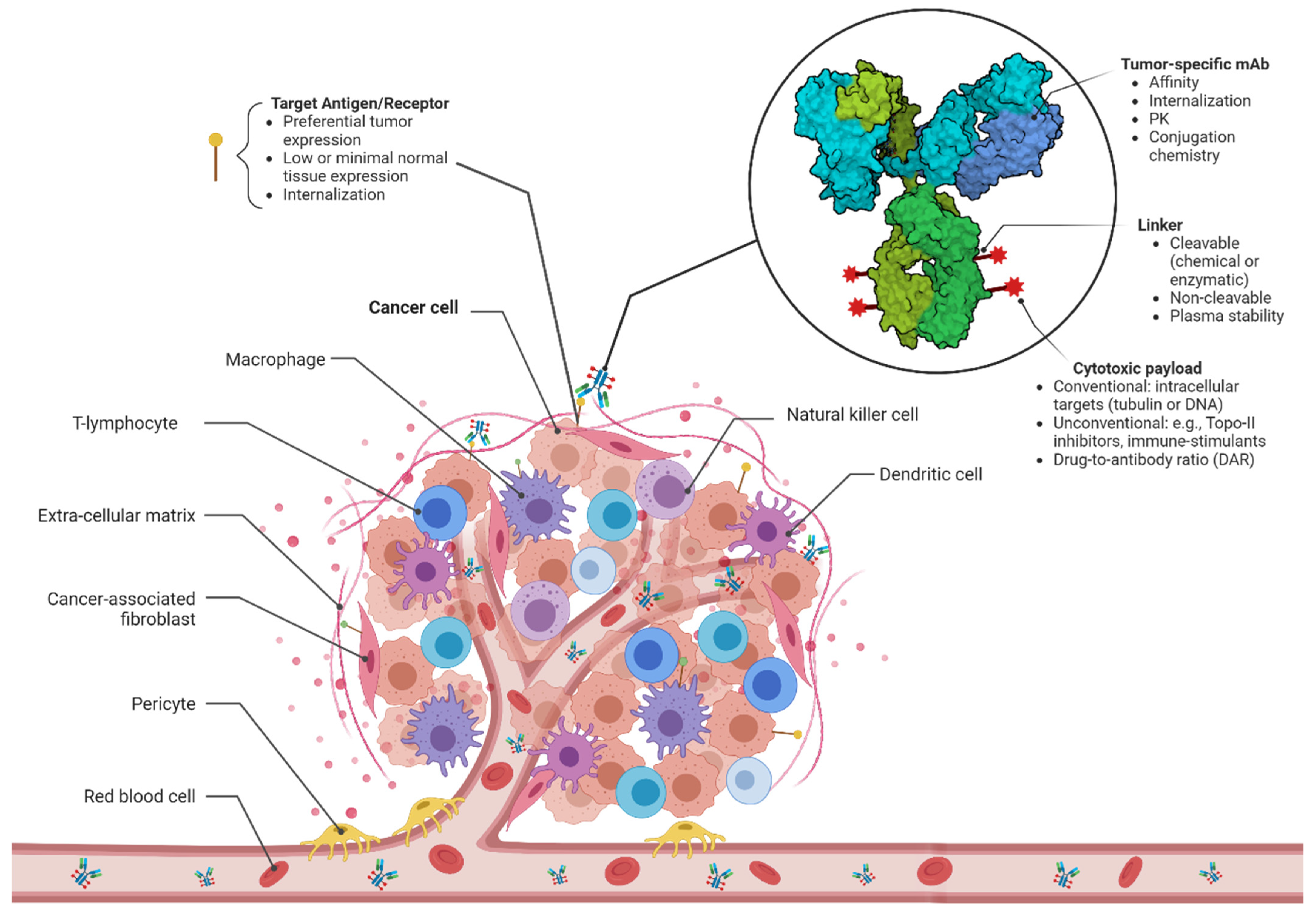 Cancers 16 00447 g001